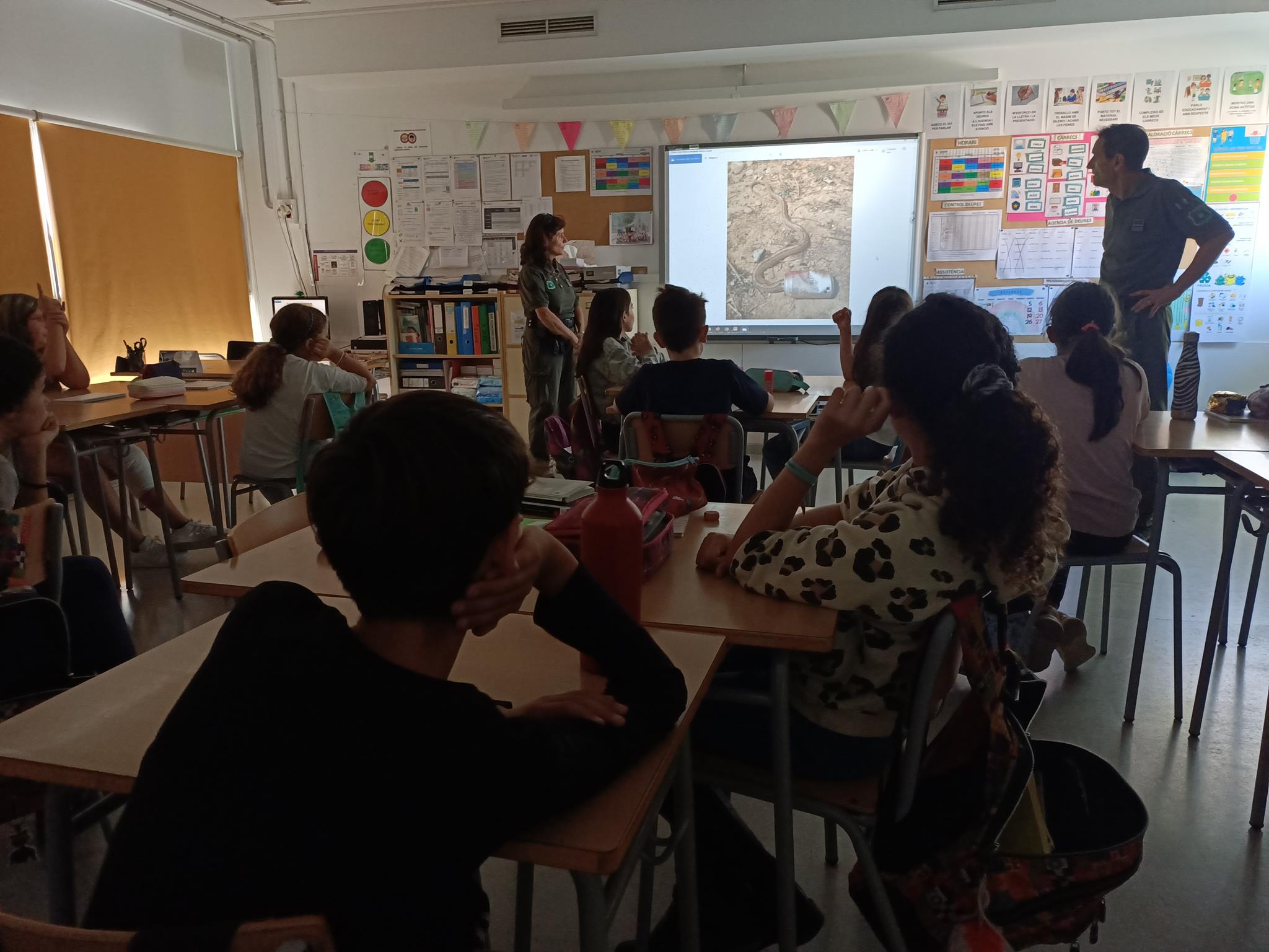 IMG20221102115458 (Copy)