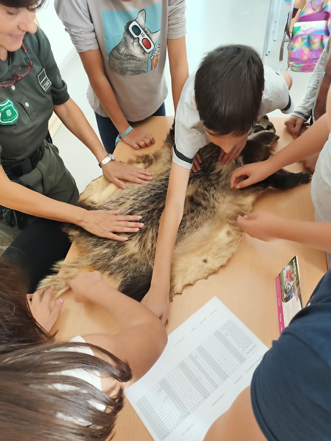 IMG20221102122534 (Copy)