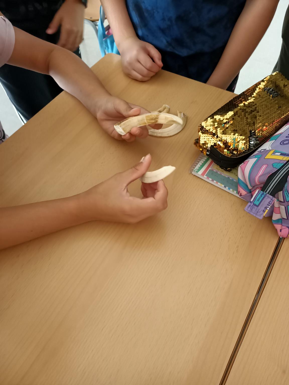 IMG20221102122601 (Copy)