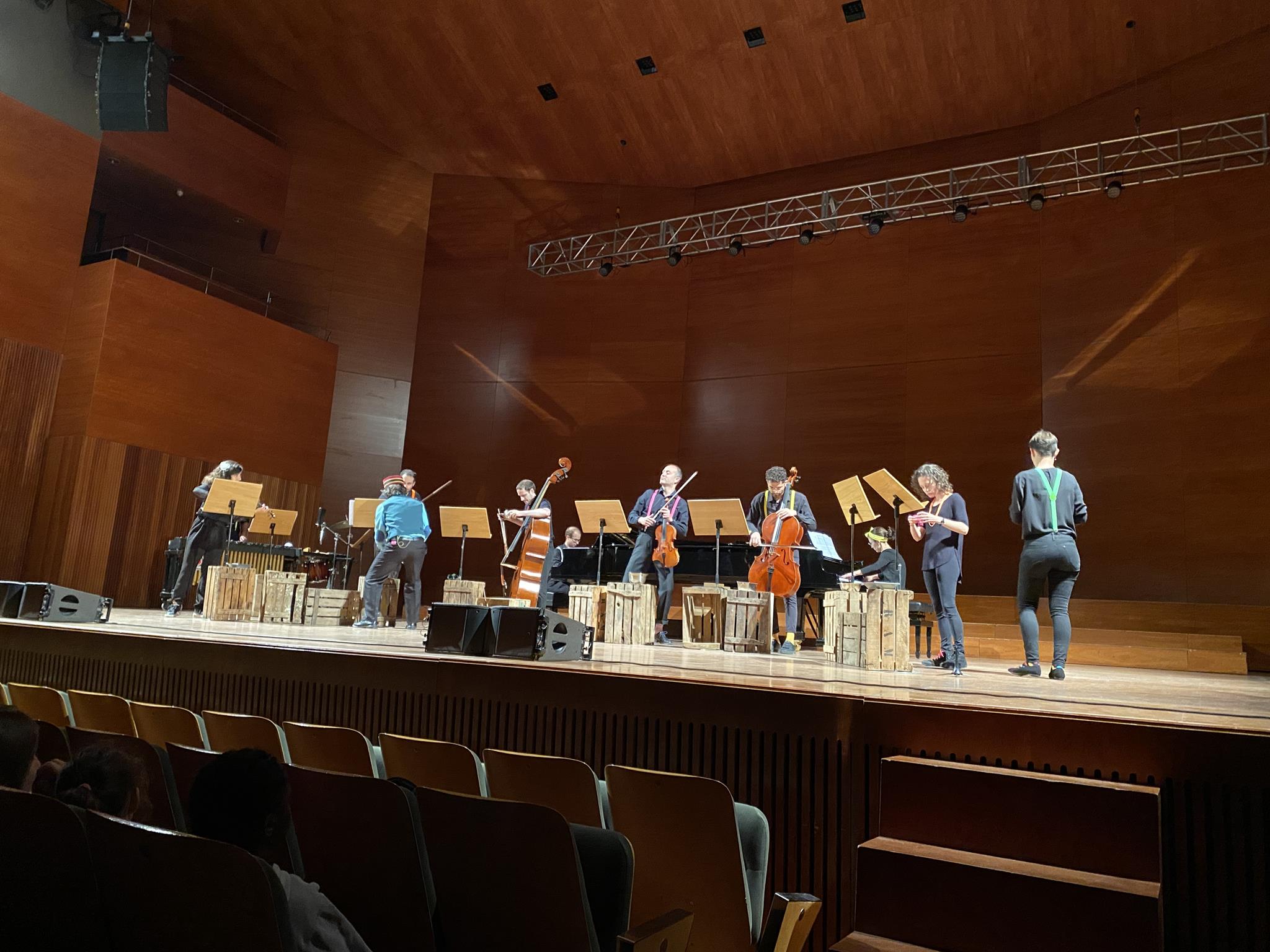 CARNAVAL DELS ANIMALS SAINT-SAENS (3) (Copy)