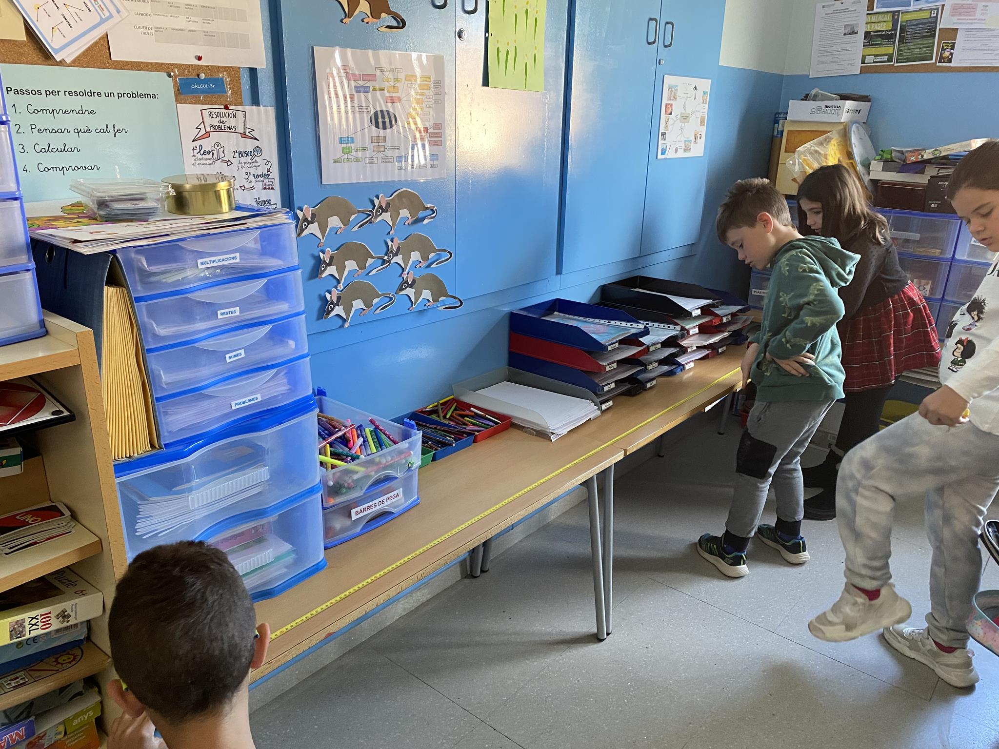 MESUREM cm (15) (Copy)