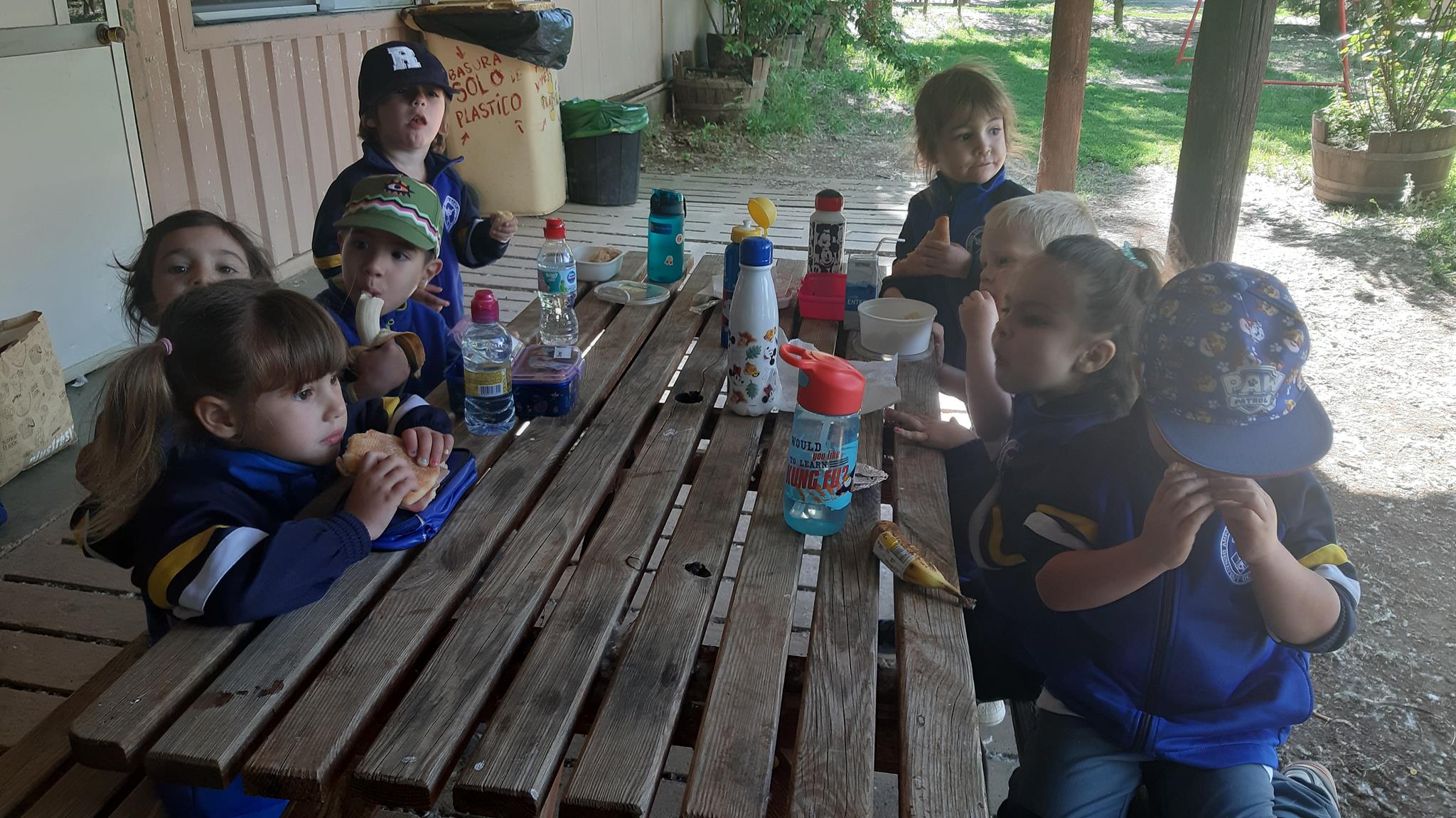 20240510_095611 (Copy)