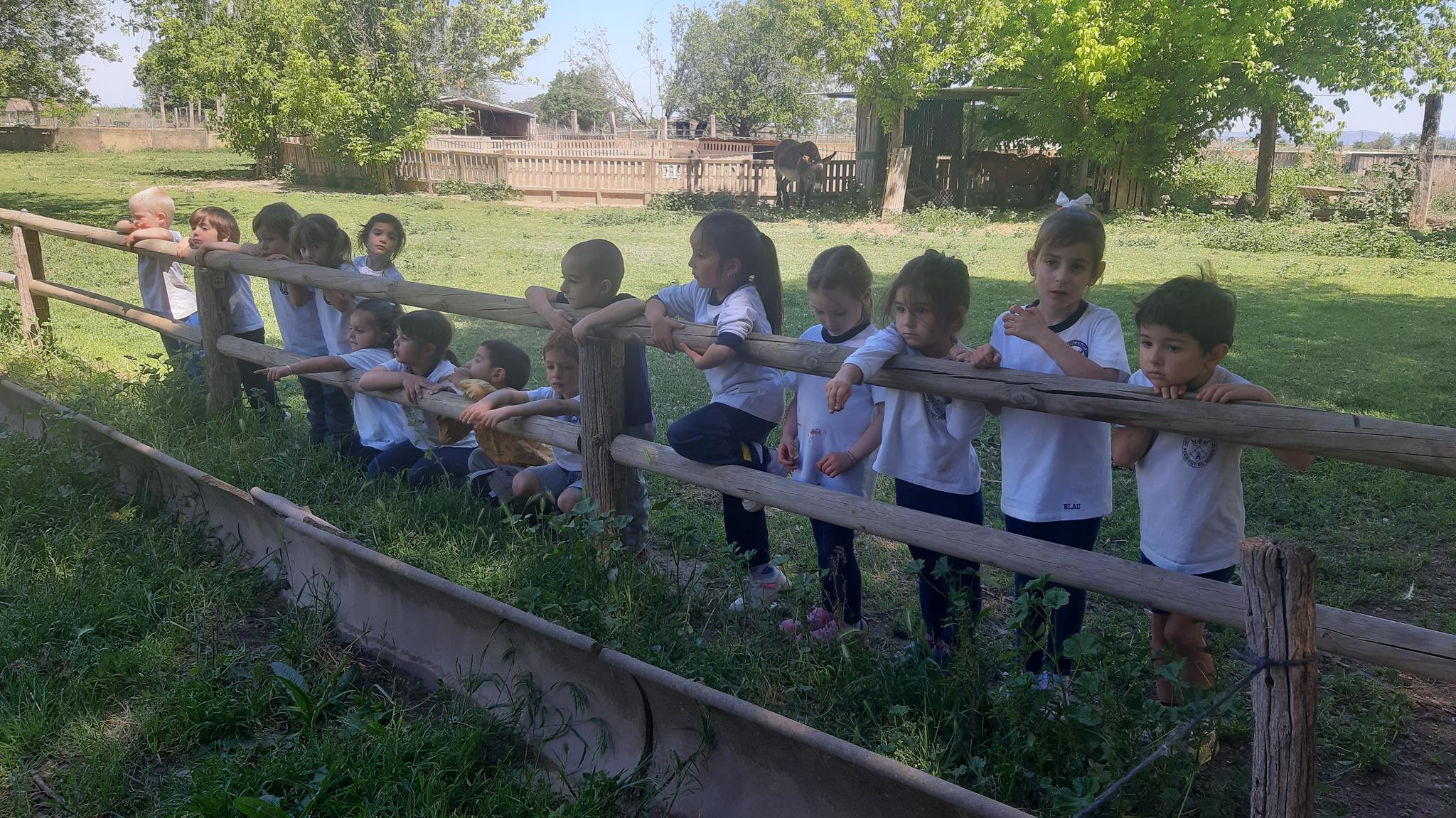 20240510_120739 (Copy)