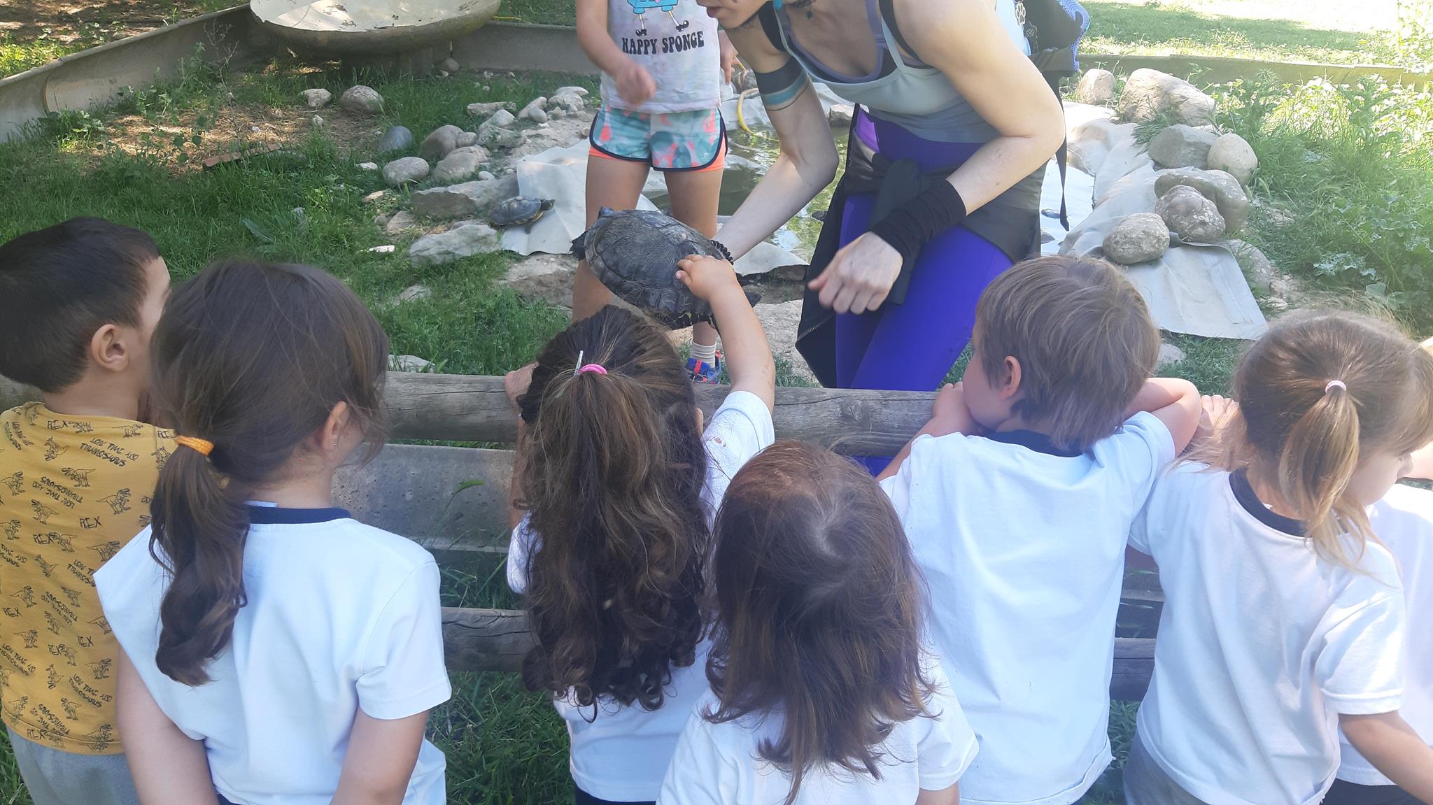 20240510_120907 (Copy)