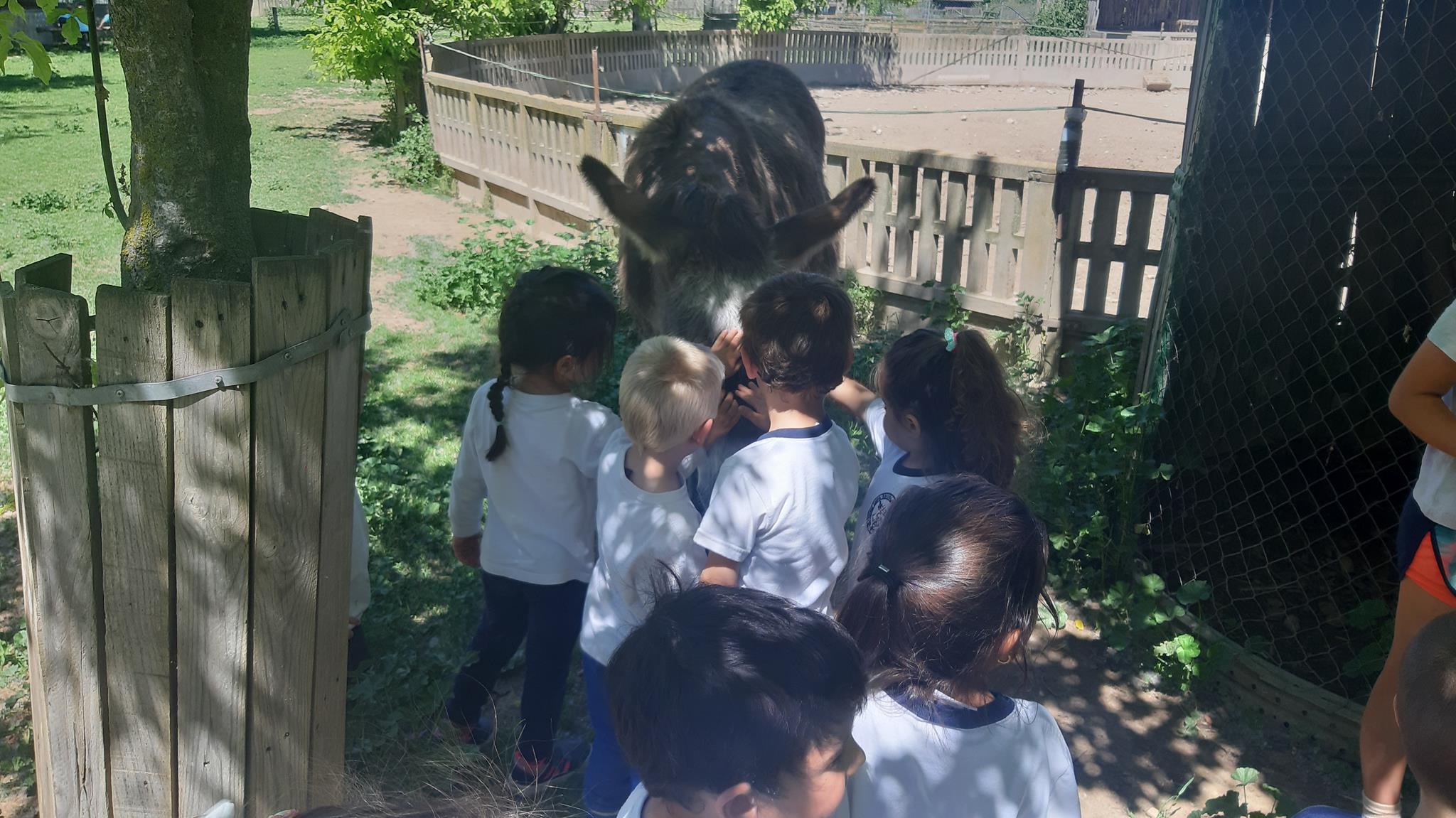 20240510_122548 (Copy)