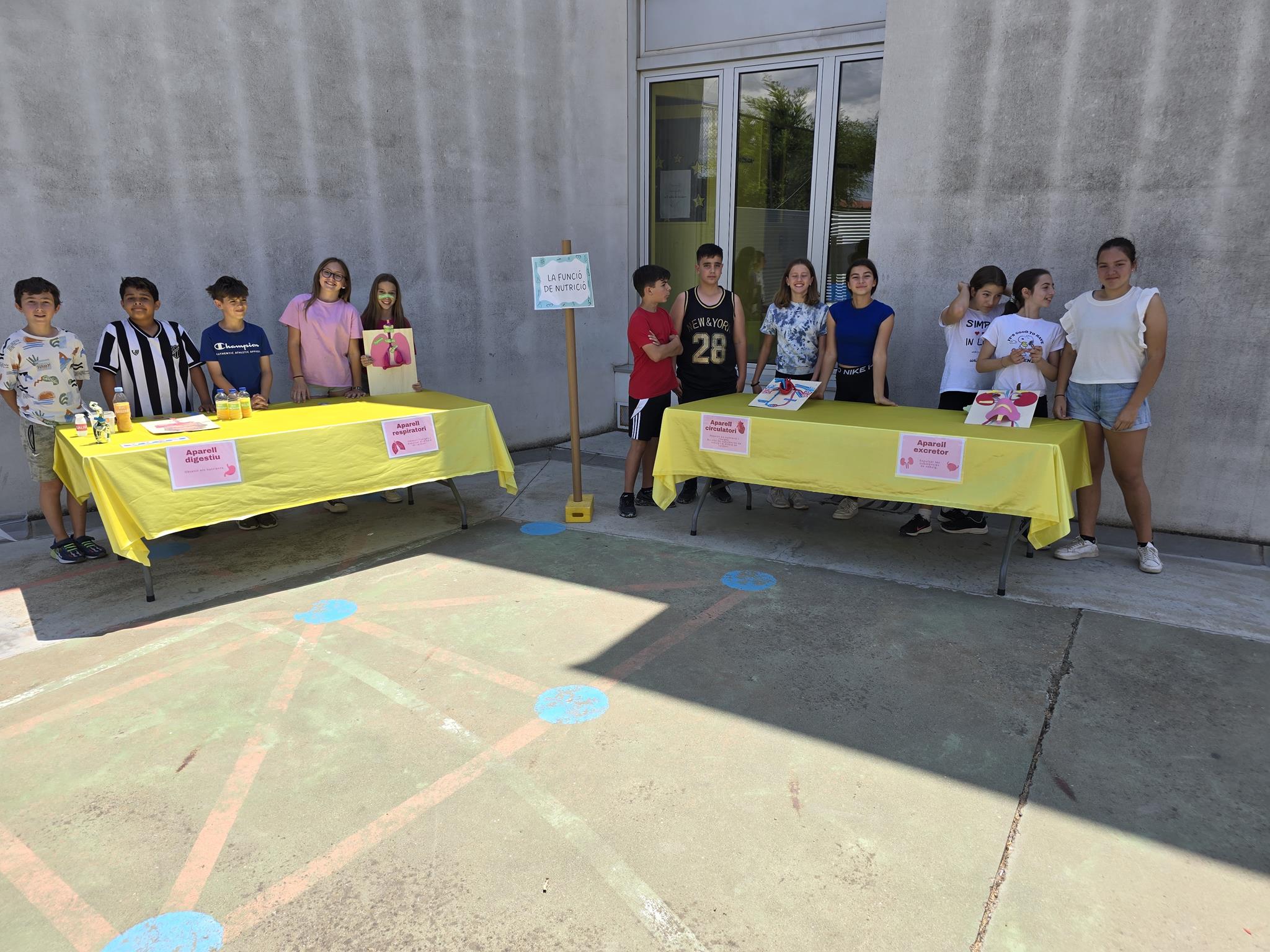 20240524_143753 (Copy)