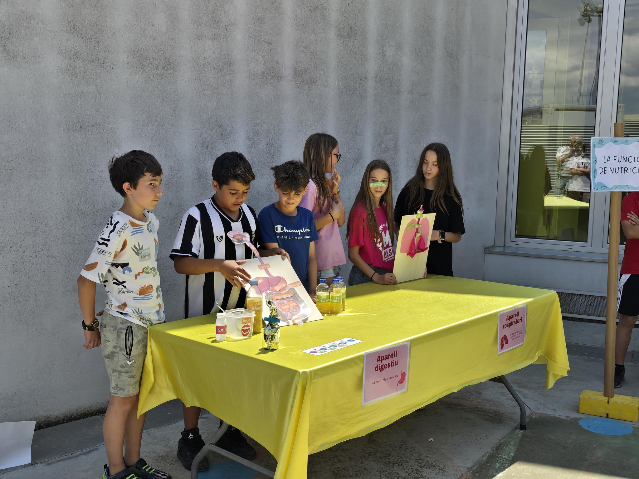 20240524_143845 (Copy)