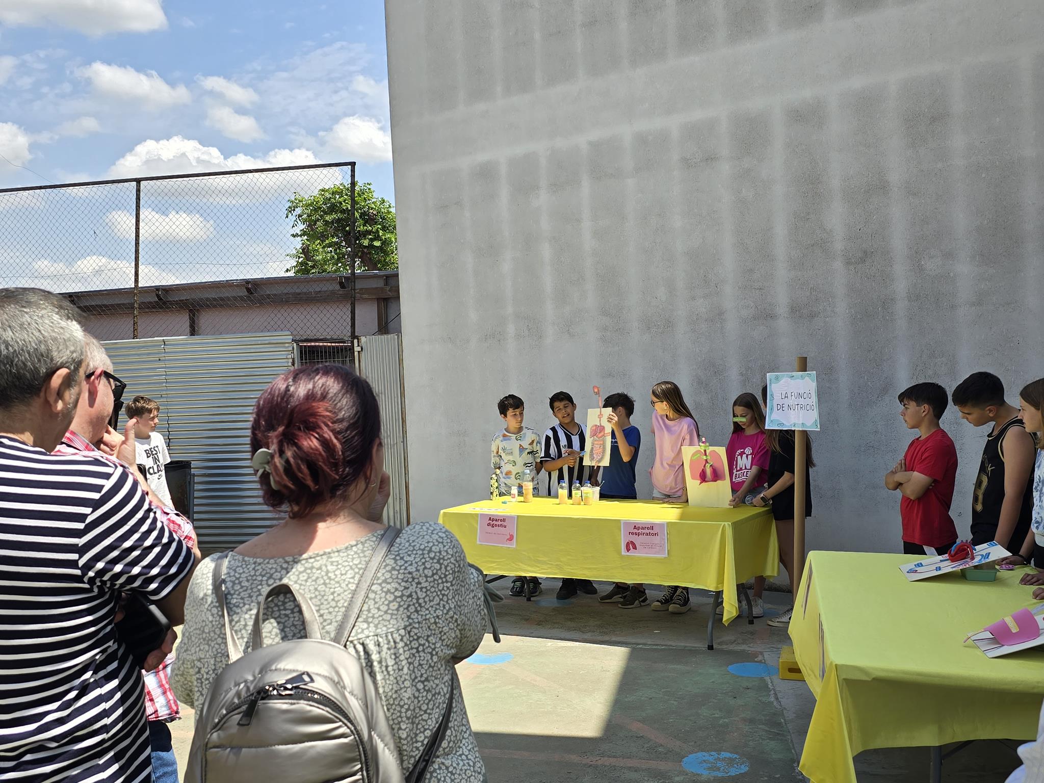 20240524_144031 (Copy)