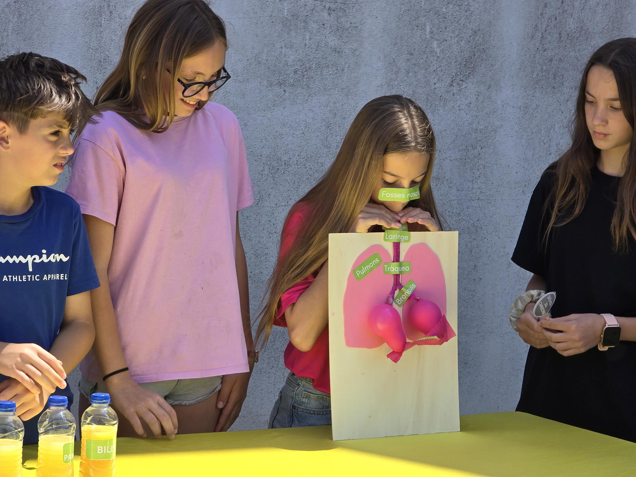 20240524_144127 (Copy)