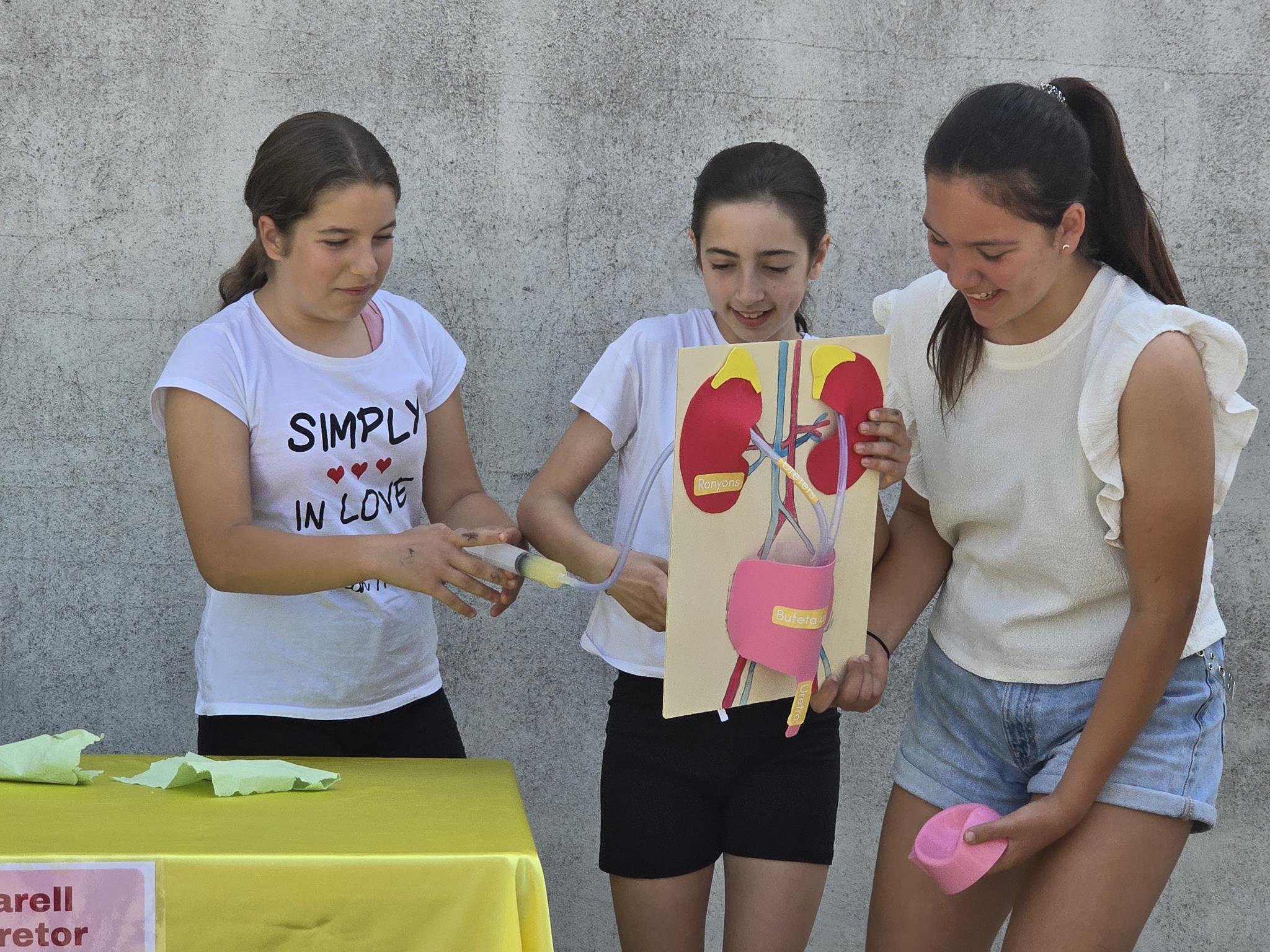 20240524_144513 (Copy)