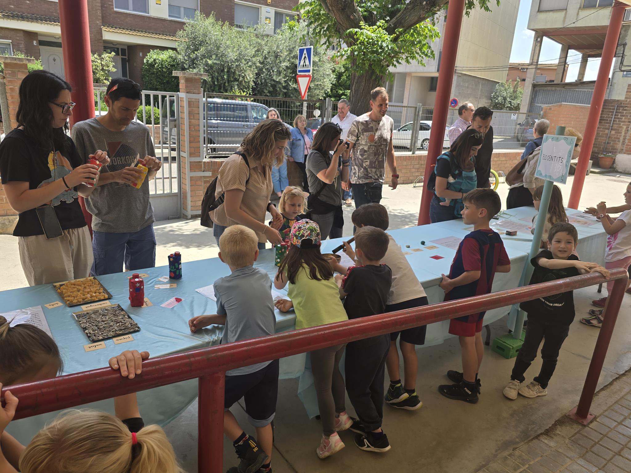 20240524_145905 (Copy)