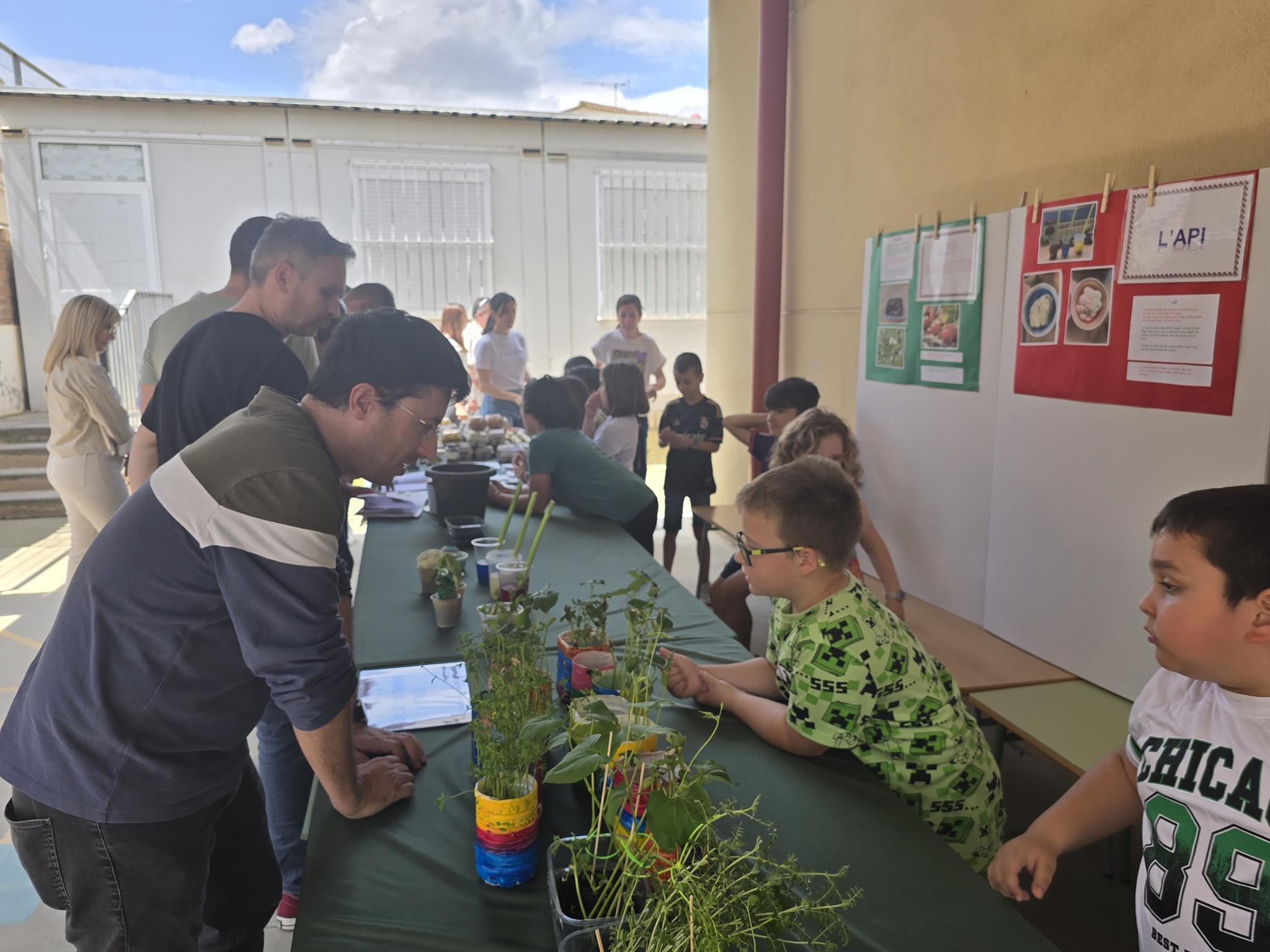 20240524_150004 (Copy)