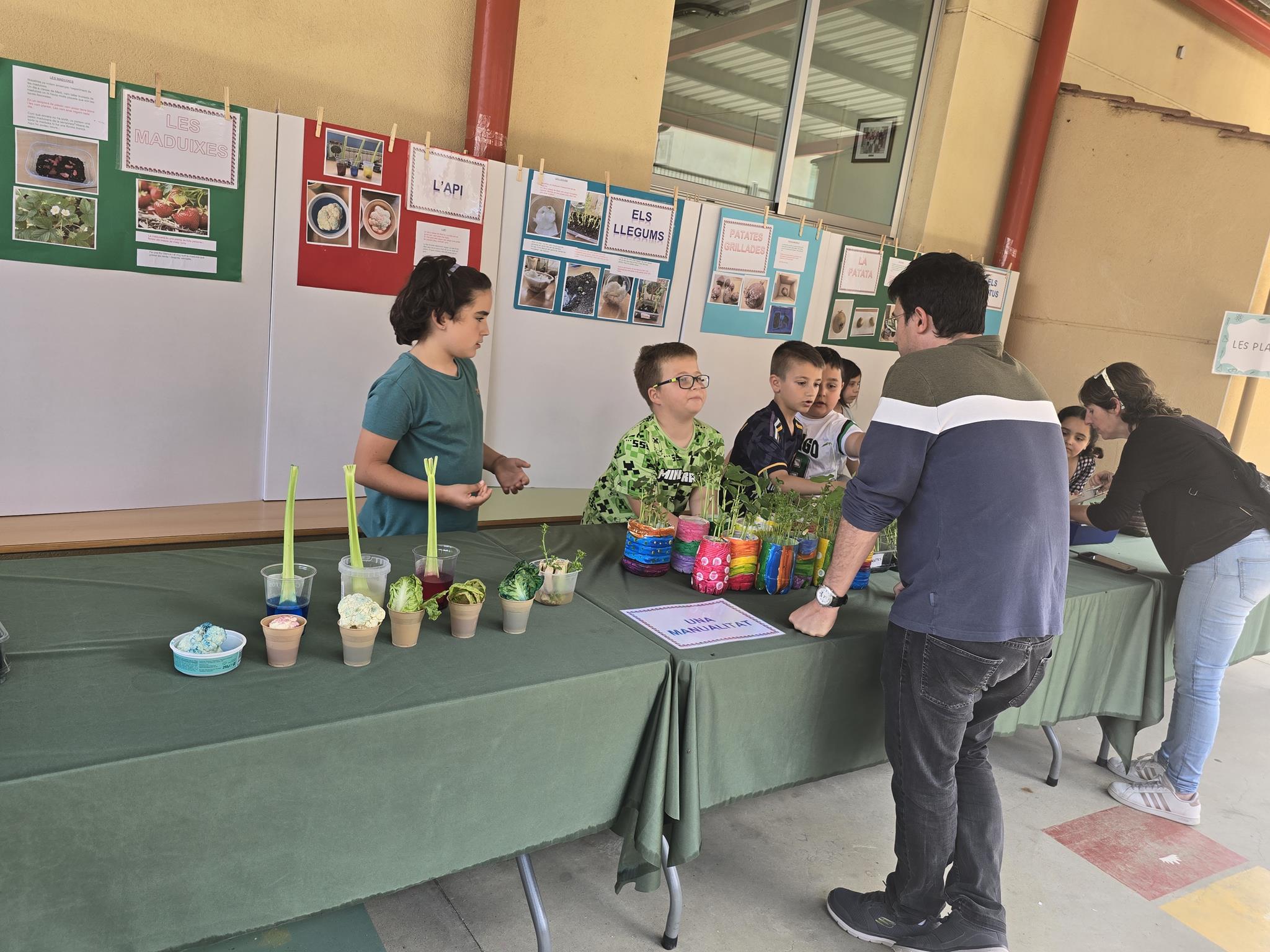 20240524_150032 (Copy)