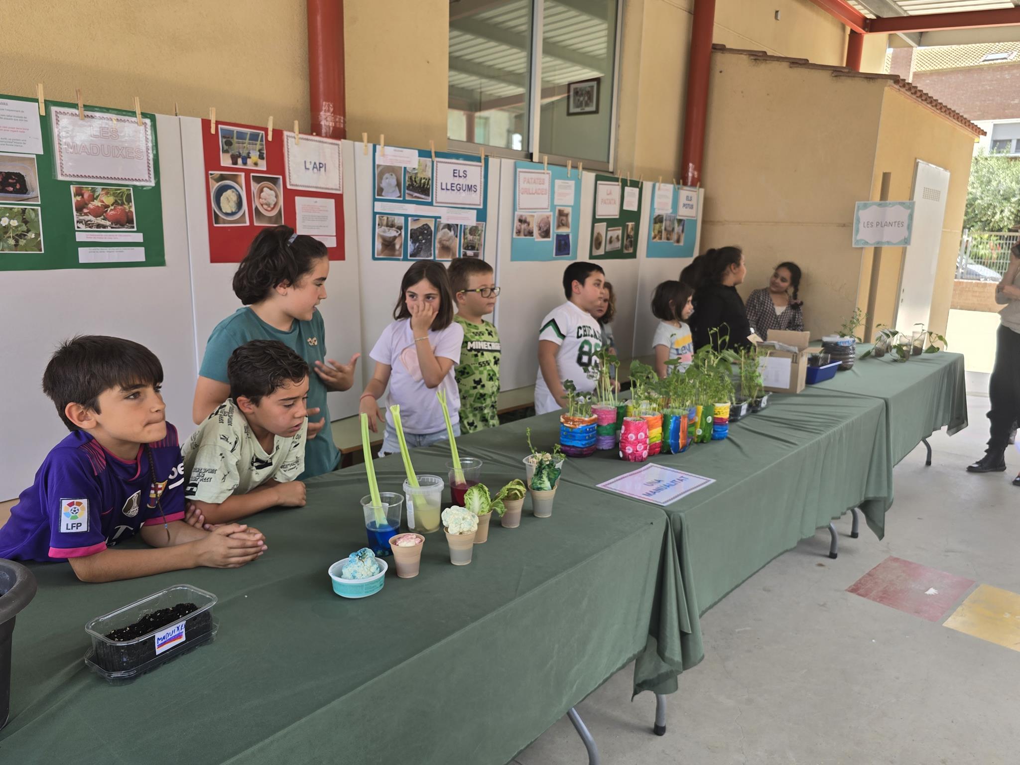 20240524_150130 (Copy)