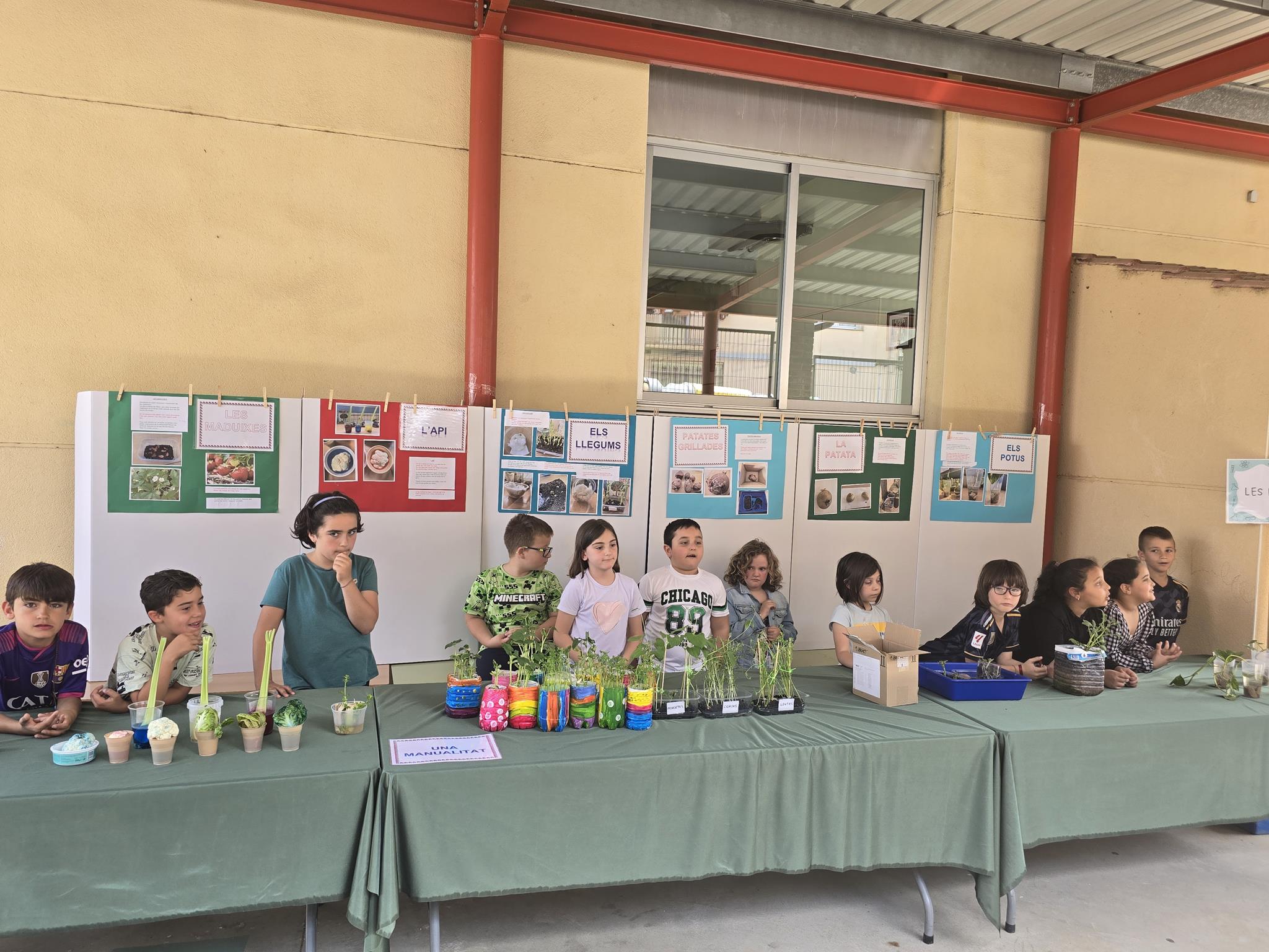 20240524_150152 (Copy)