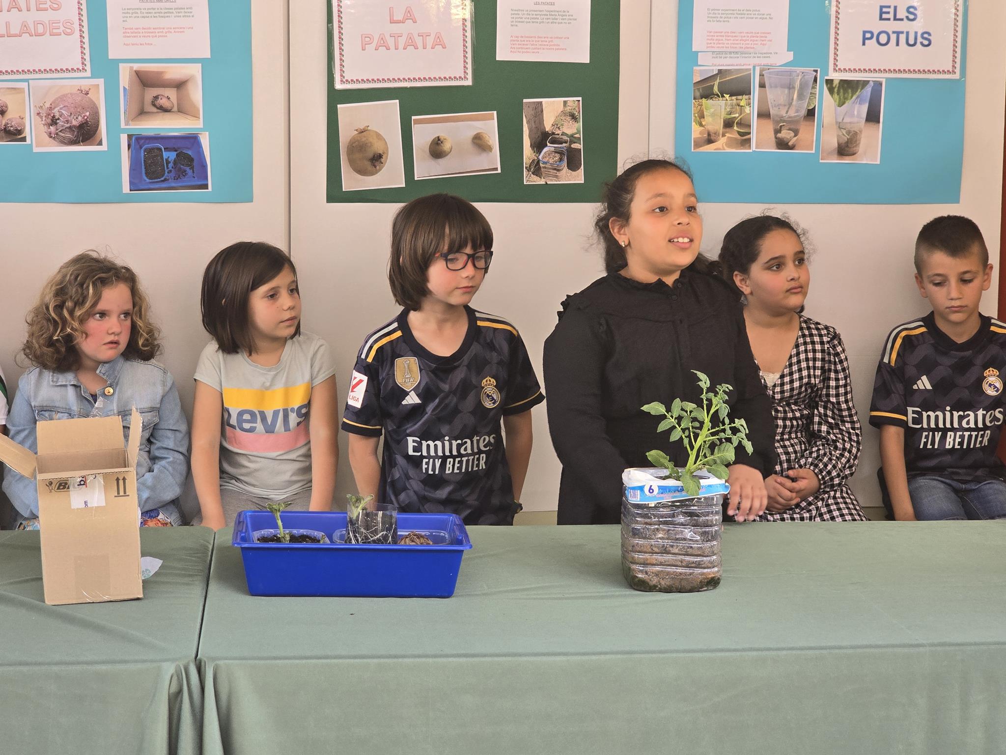 20240524_150351 (Copy)