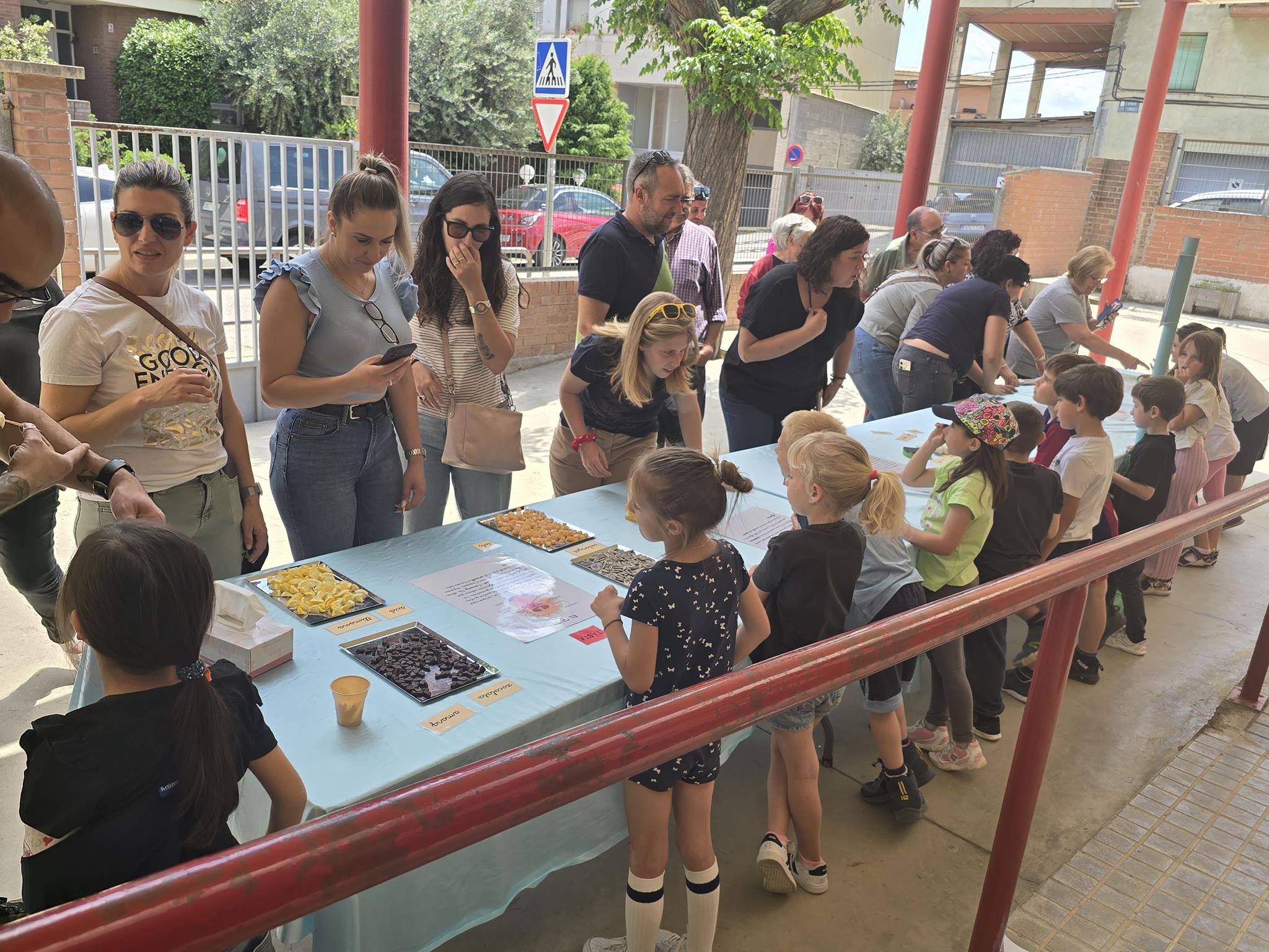 20240524_150533 (Copy)