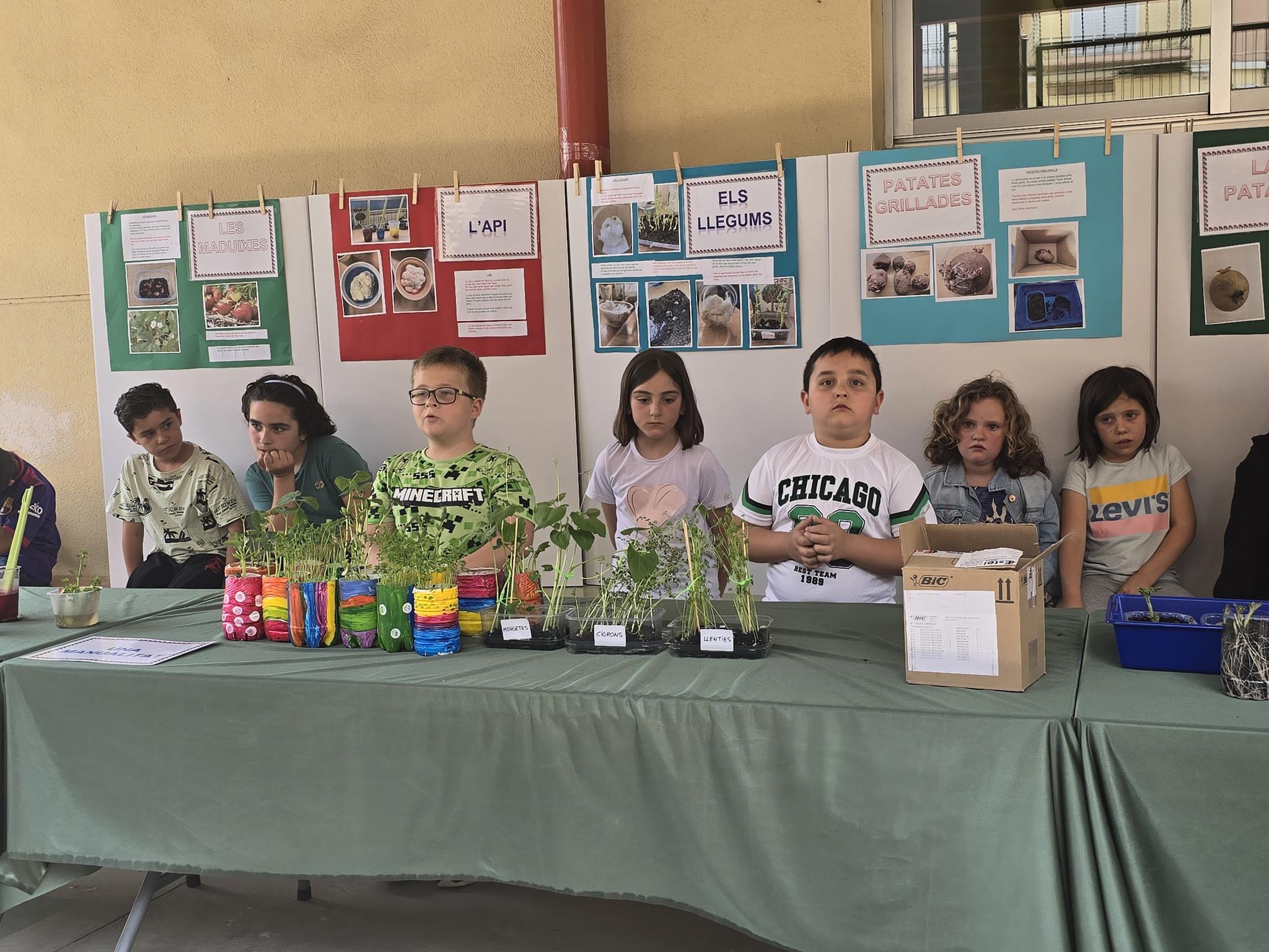 20240524_150632 (Copy)