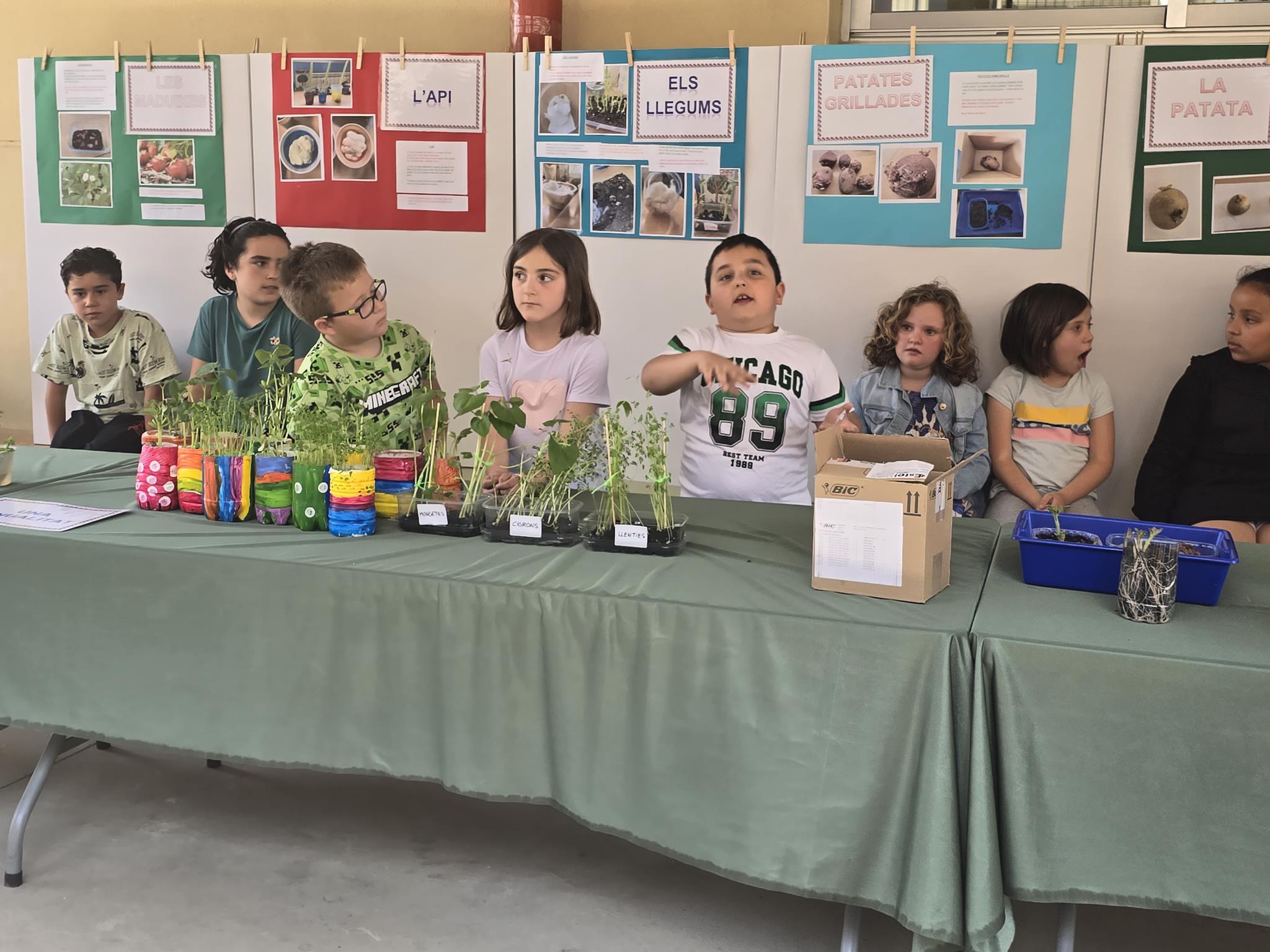 20240524_150648 (Copy)