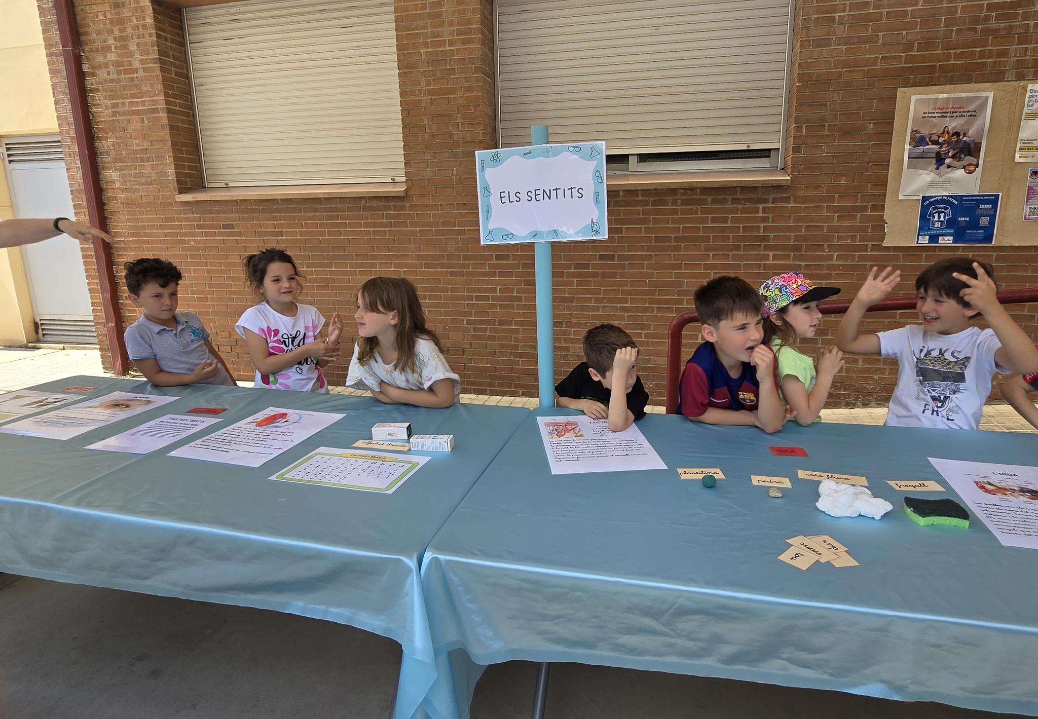 20240524_151446 (Copy)