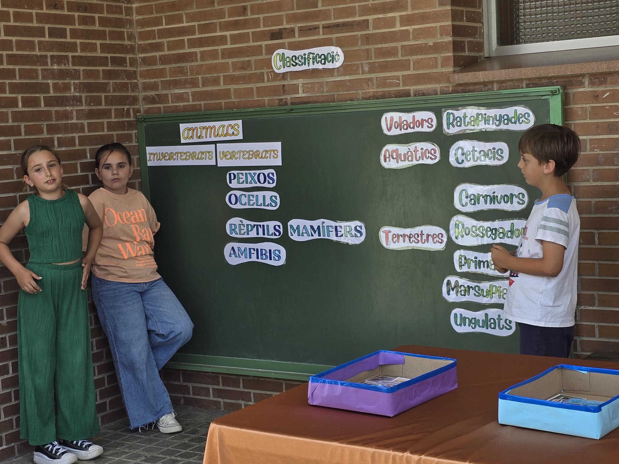 20240524_151703 (Copy)