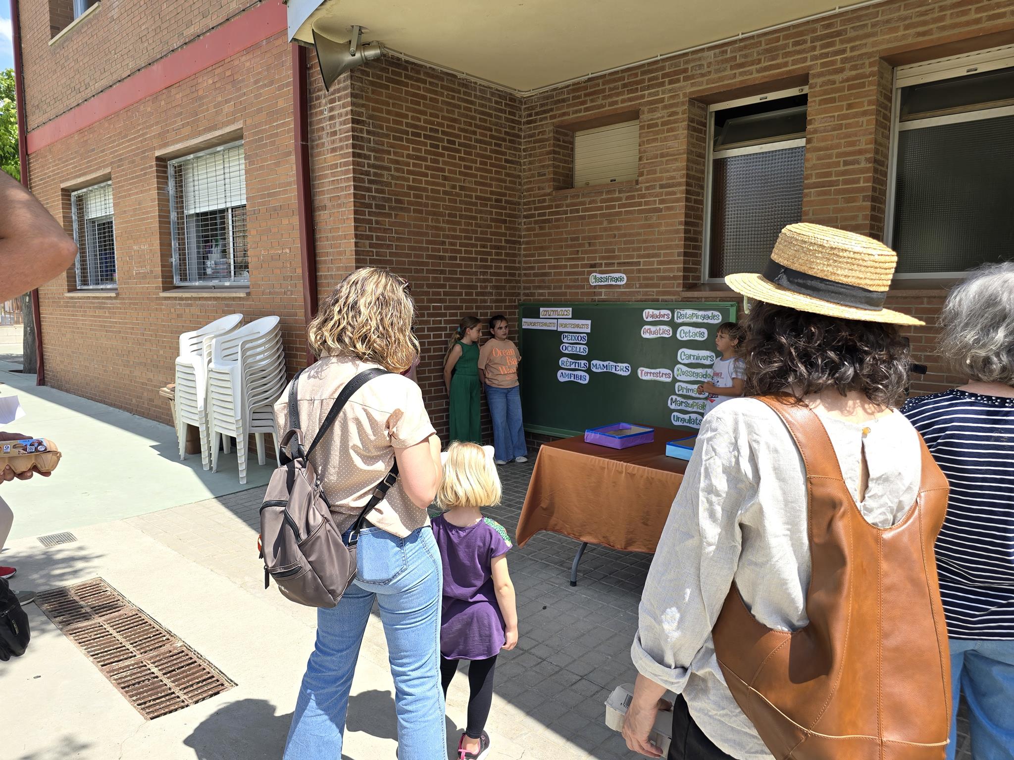 20240524_151721 (Copy)