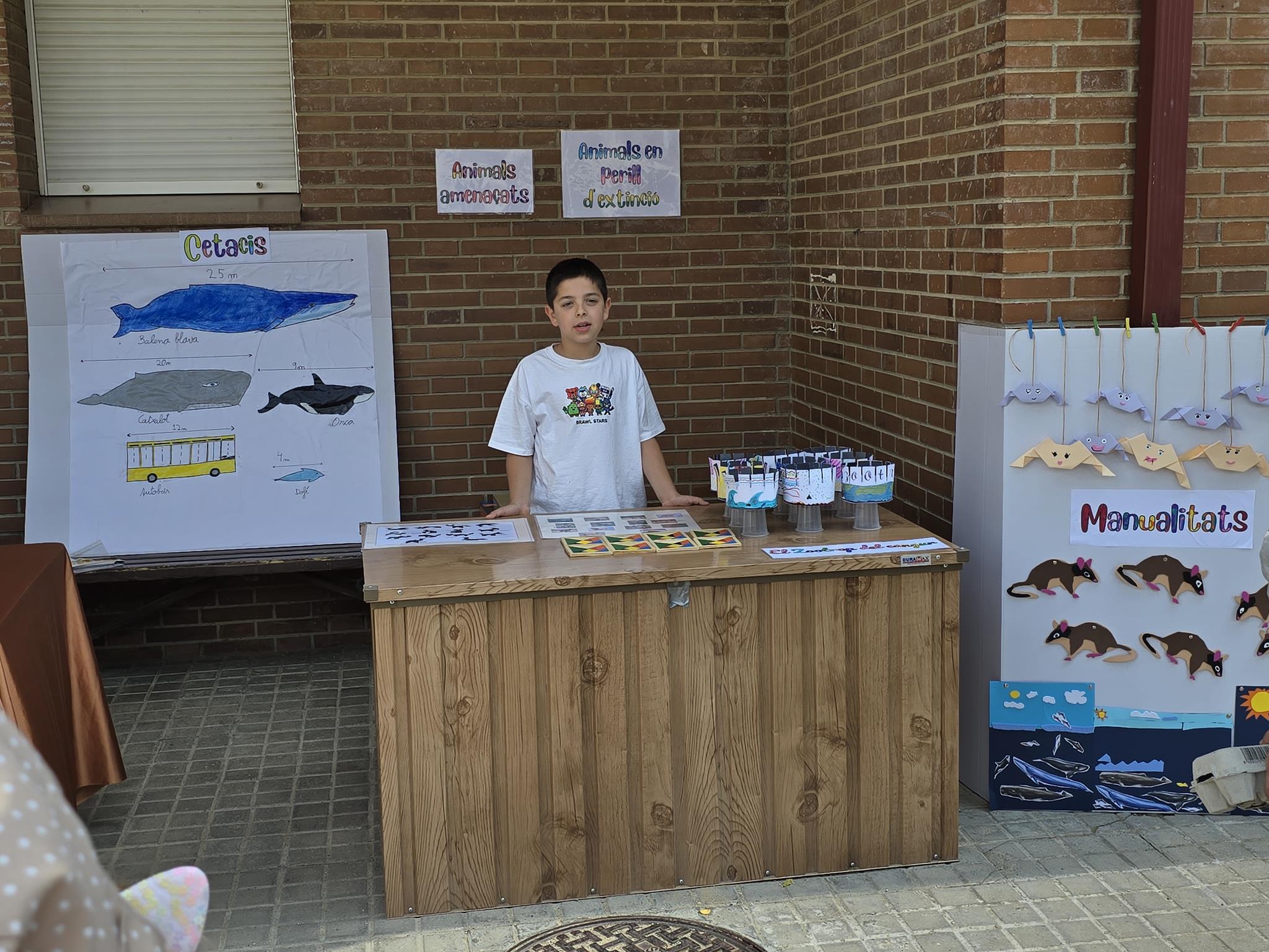 20240524_151820 (Copy)