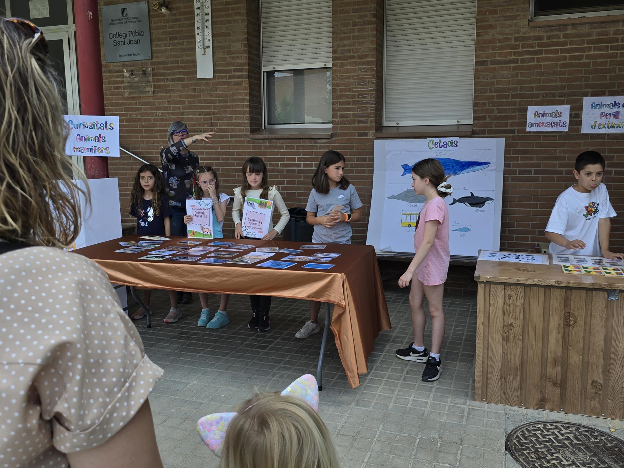 20240524_151857 (Copy)