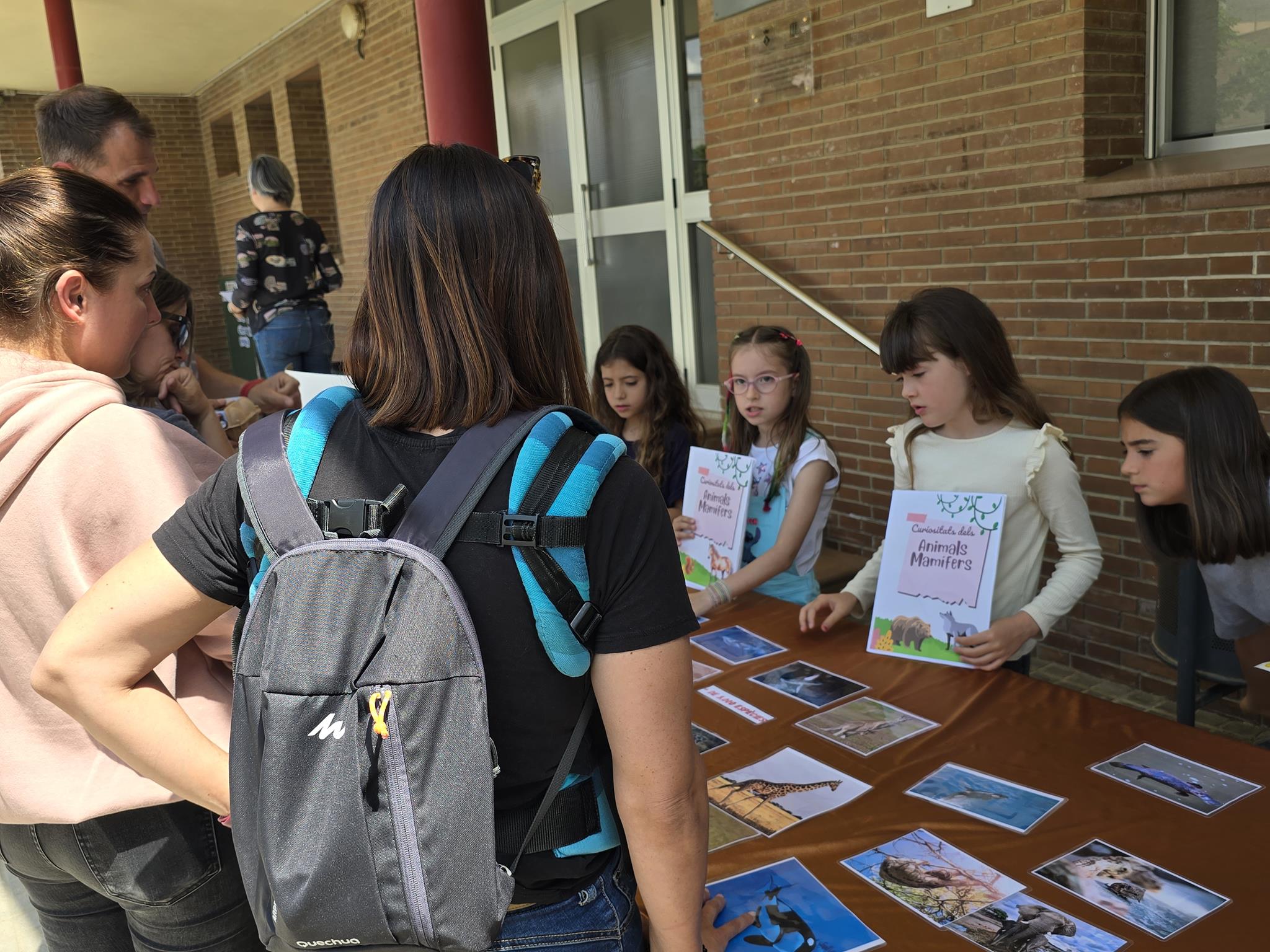 20240524_151935 (Copy)