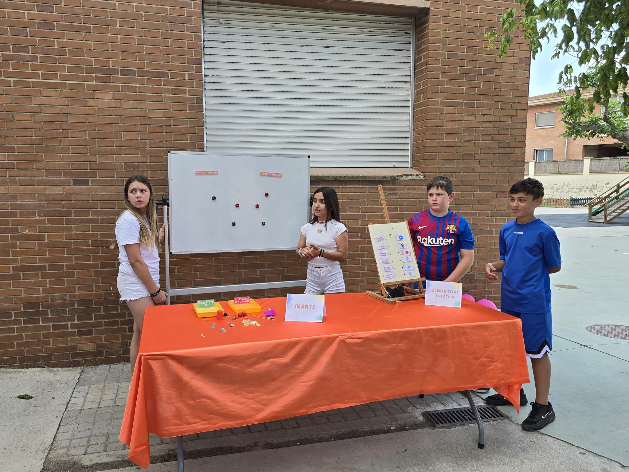 20240524_152410 (Copy)