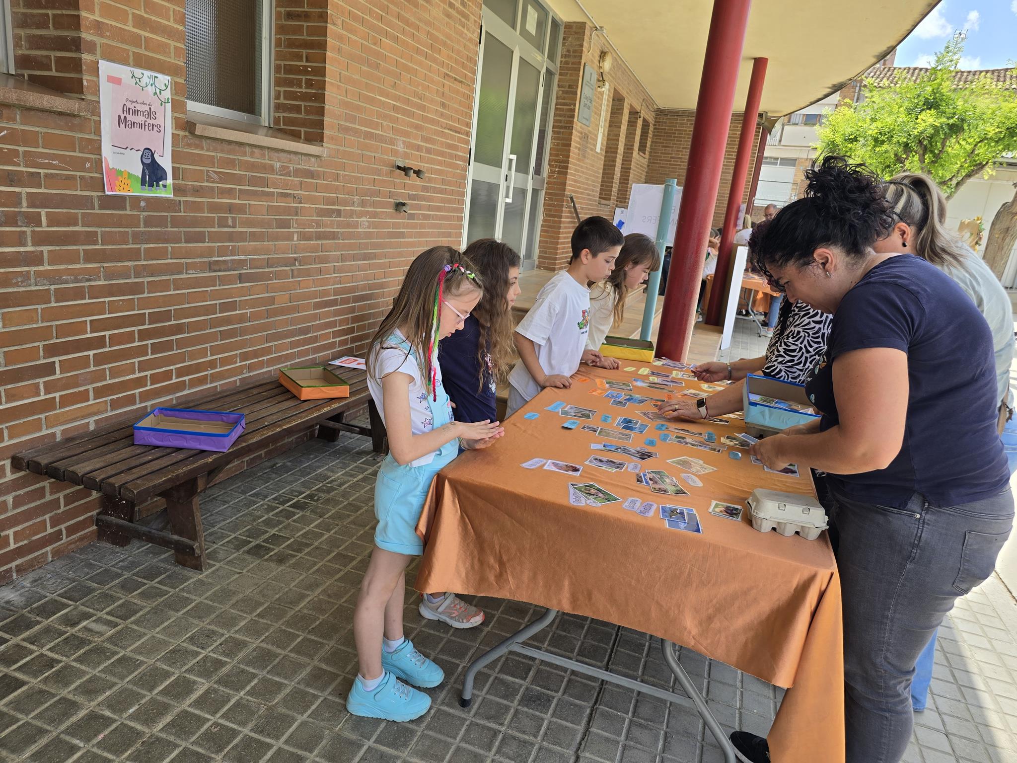 20240524_153344 (Copy)