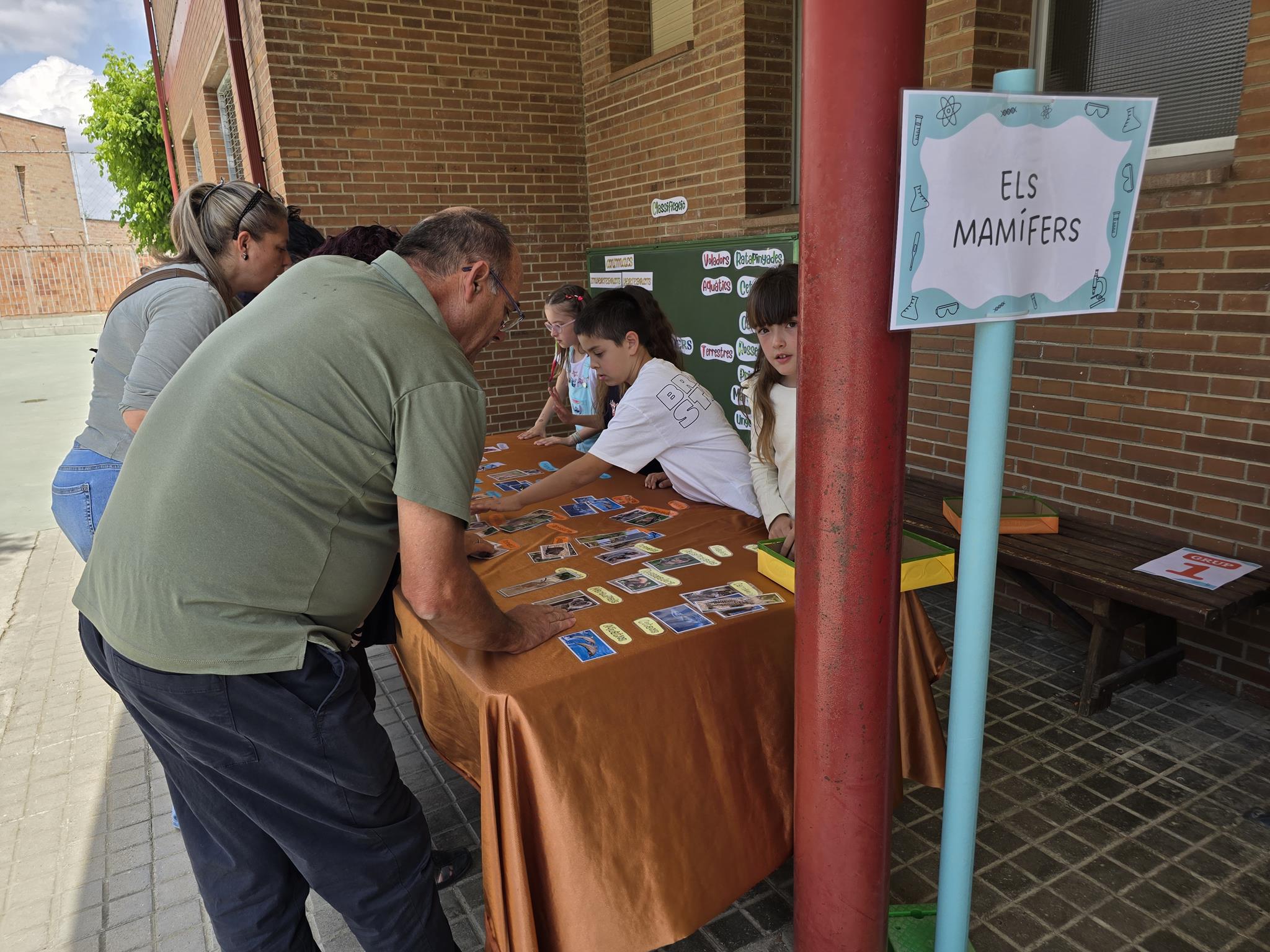 20240524_153353 (Copy)