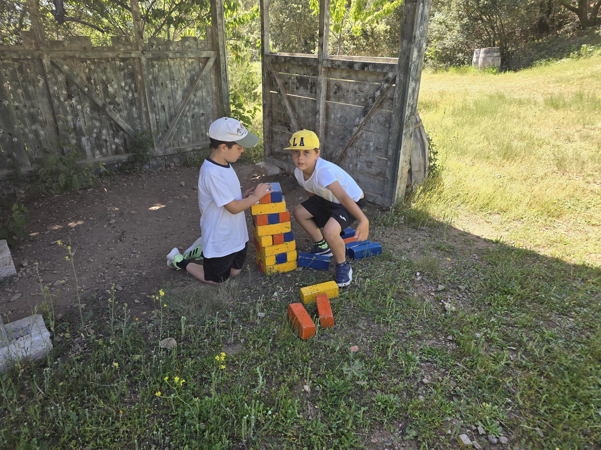 20240531_113548 (Copy)