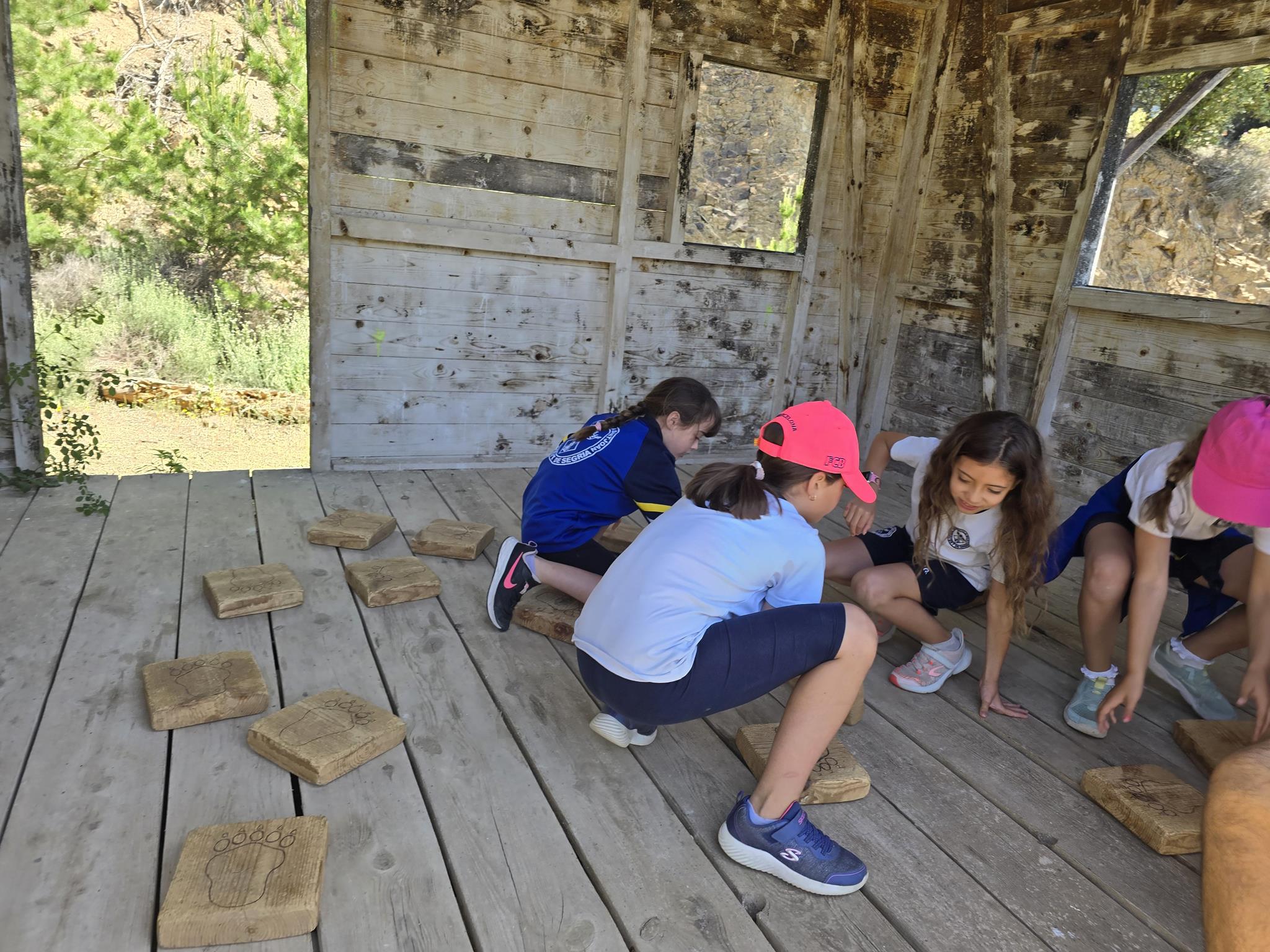 20240531_113747 (Copy)