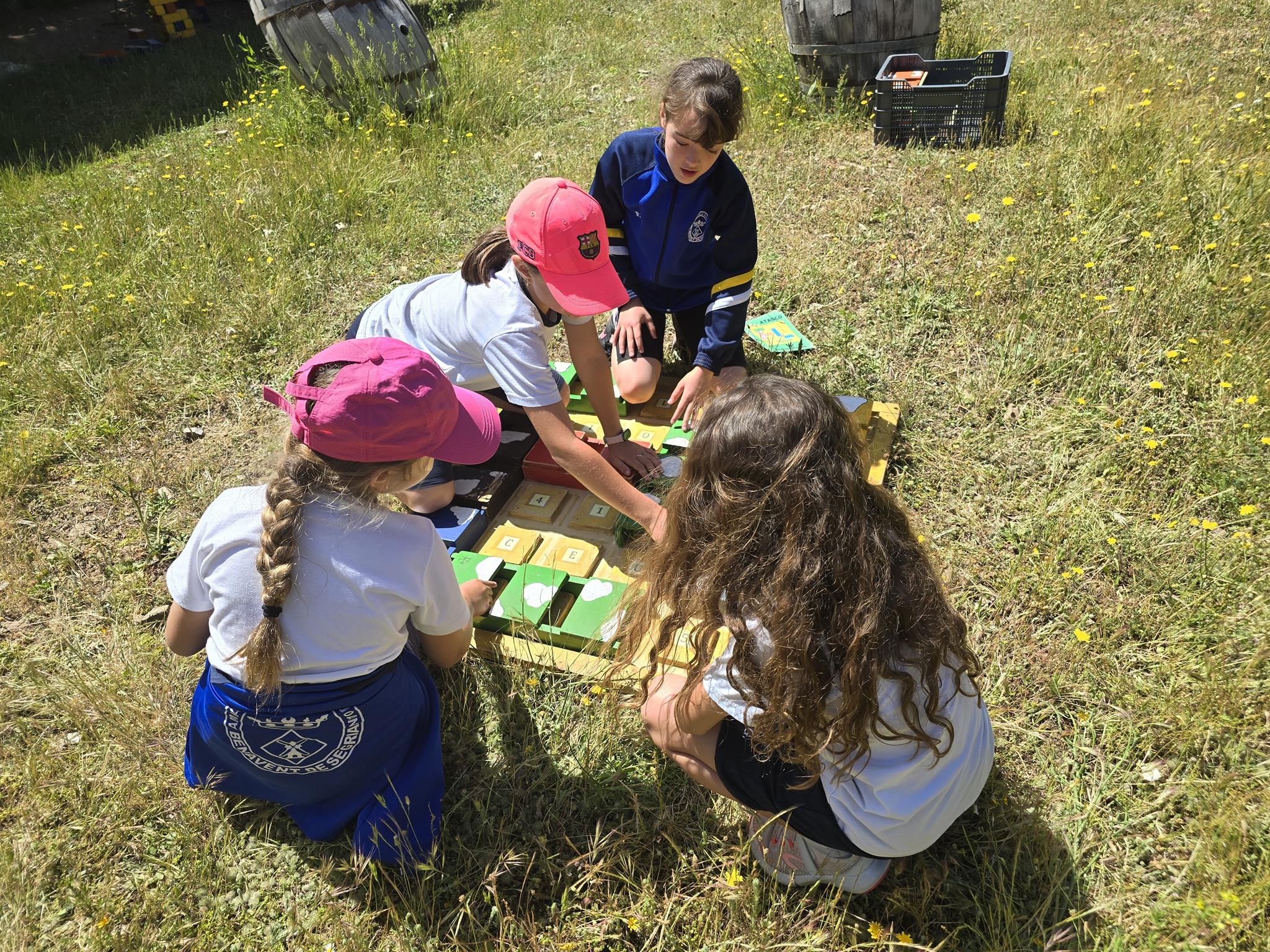 20240531_114022 (Copy)