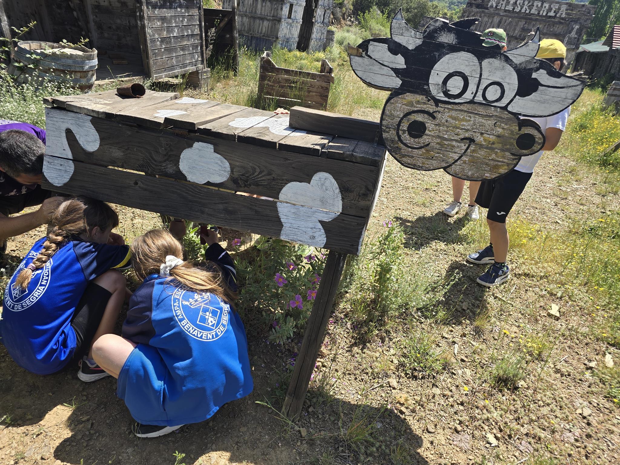 20240531_115022 (Copy)