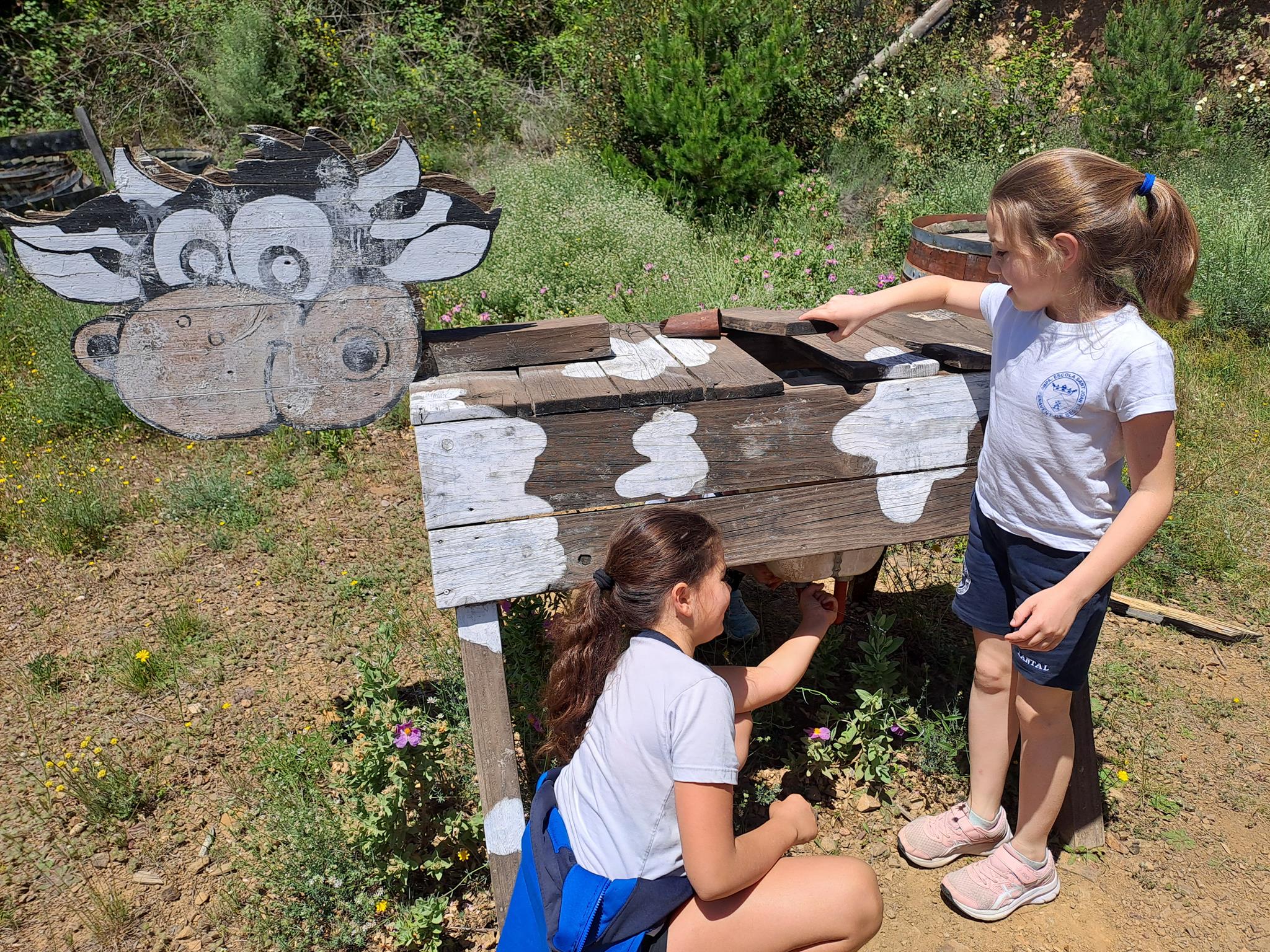 20240531_125213 (Copy)