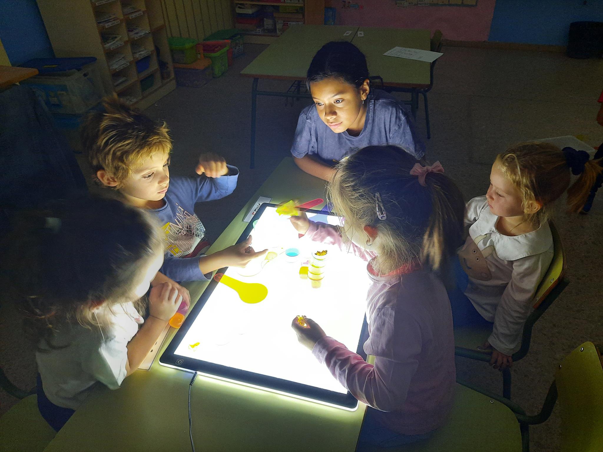 20241009_144708 (Copy)