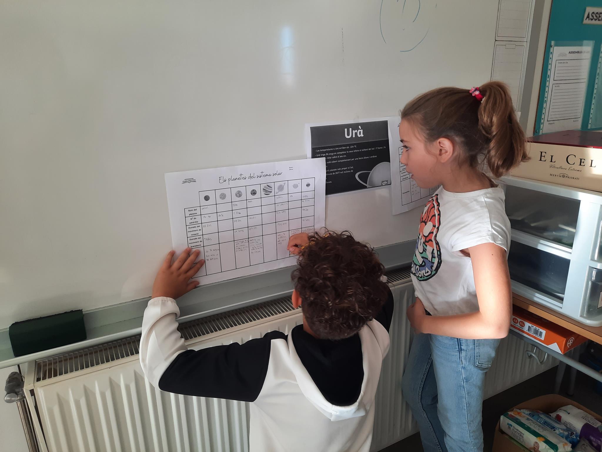 20241011_103452 (Copy)