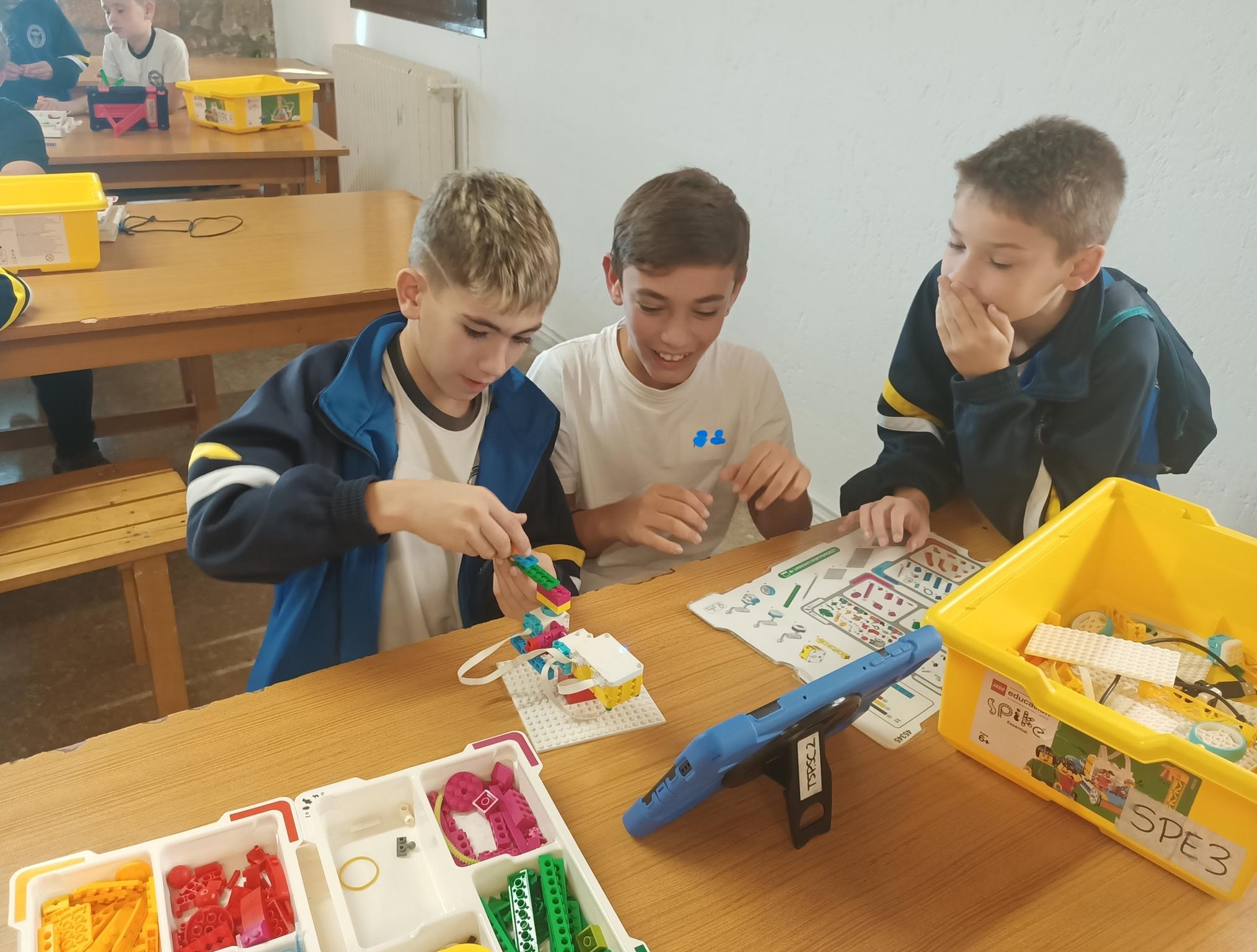 IMG20241025114536 (Copy)