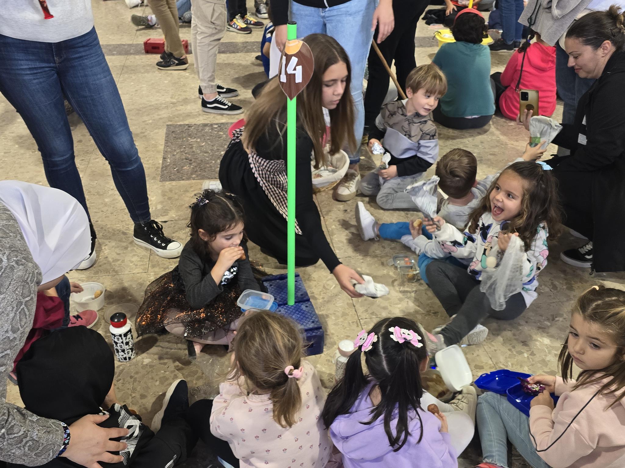 20241030_152736 (Copy)