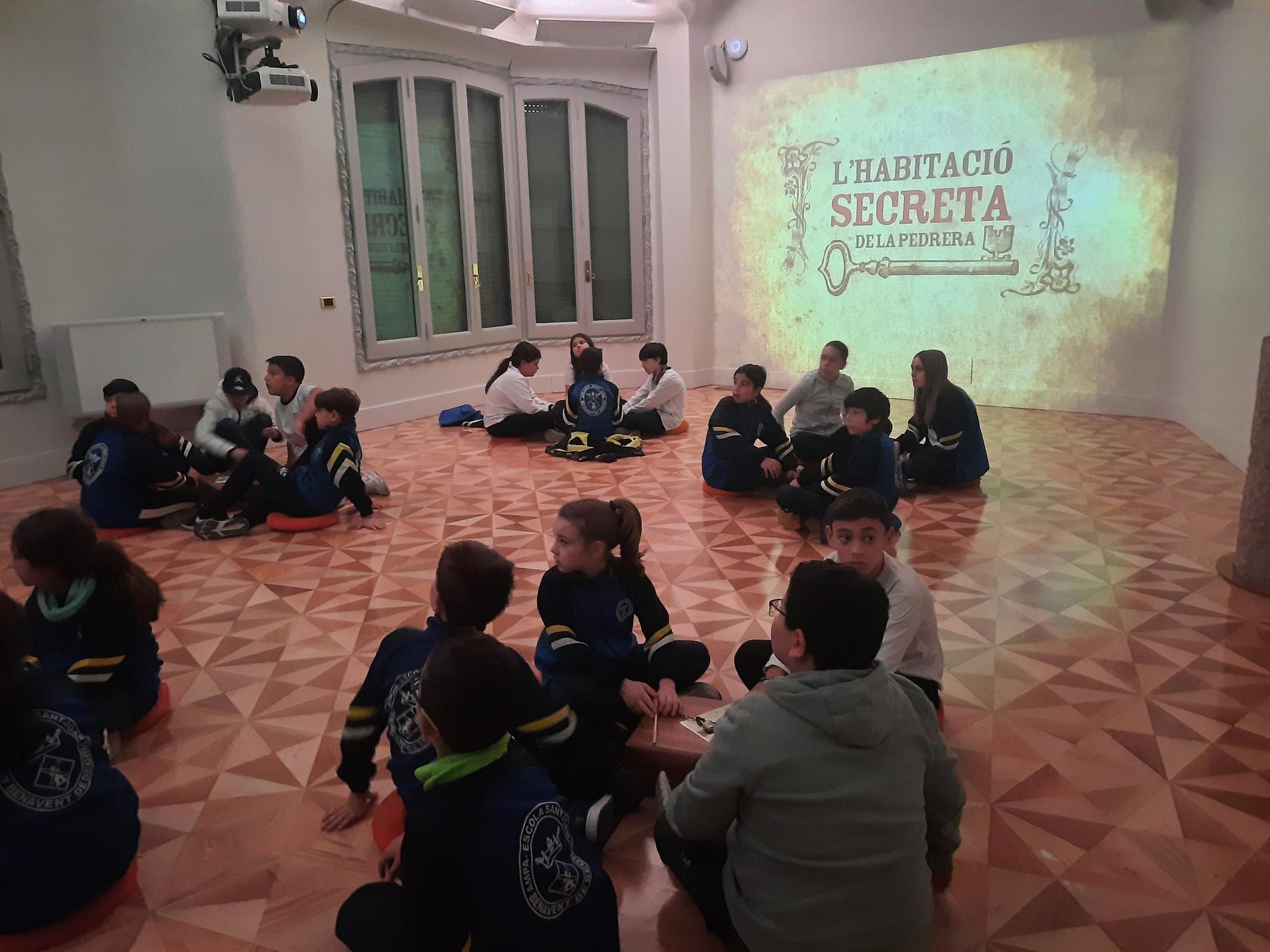 20241129_113333 (Copy)