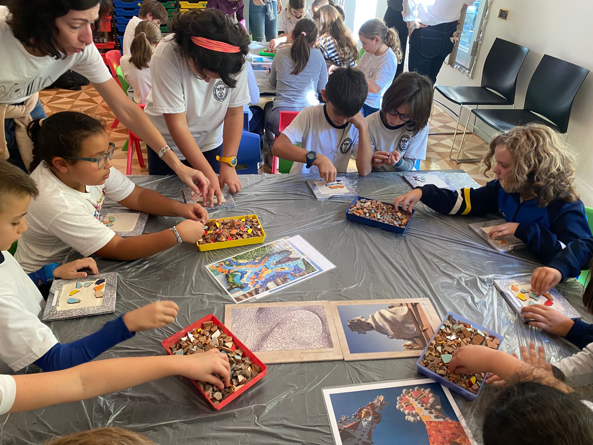 IMG-20241203-WA0002 (Copy)