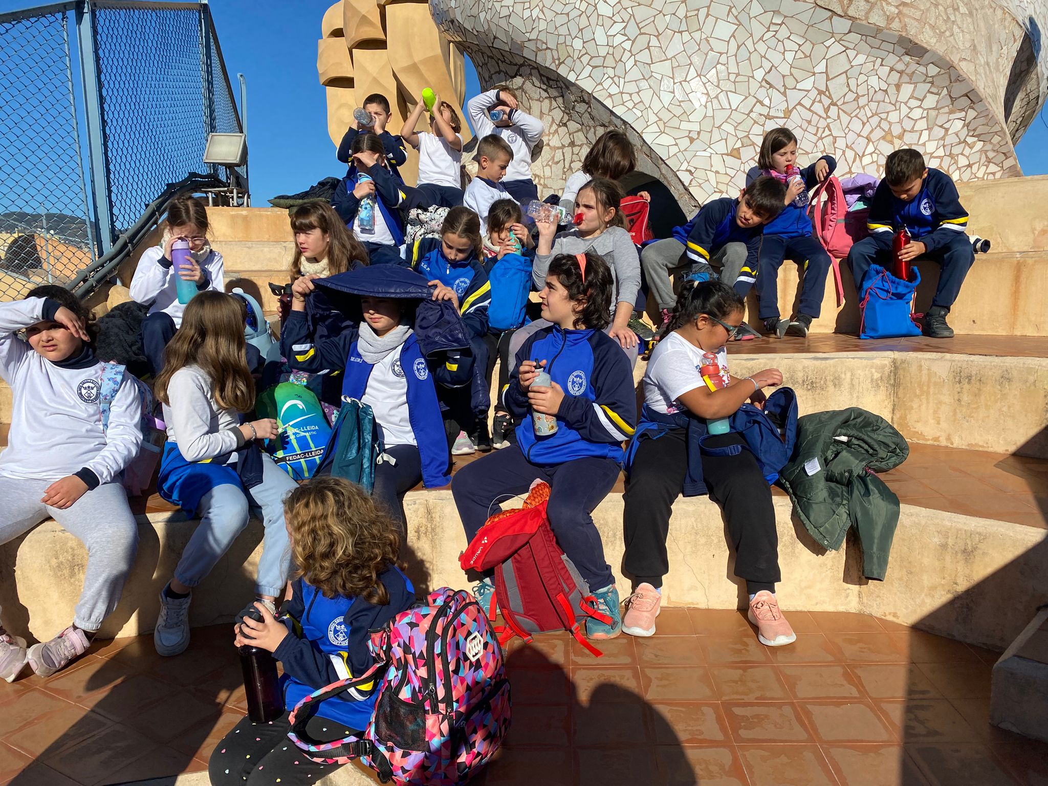 IMG-20241203-WA0003 (Copy)