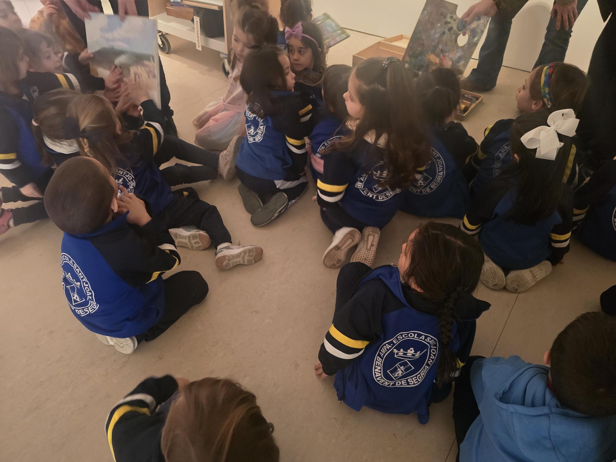 20250129_115430 (Copy)