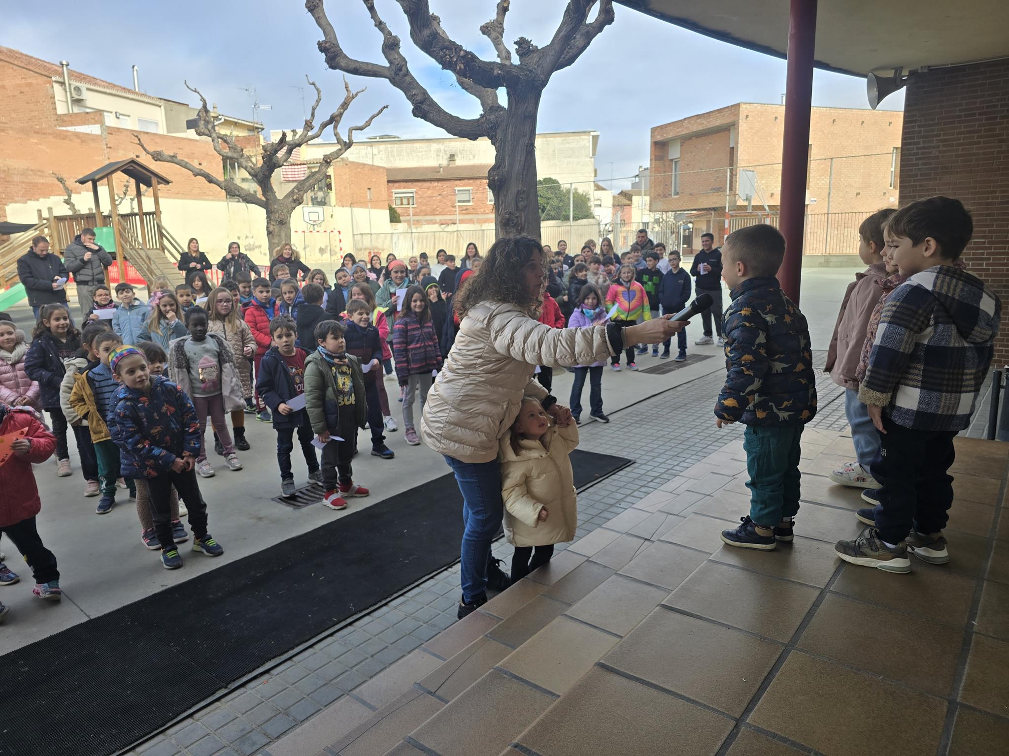 20250130_114045 (Copy)