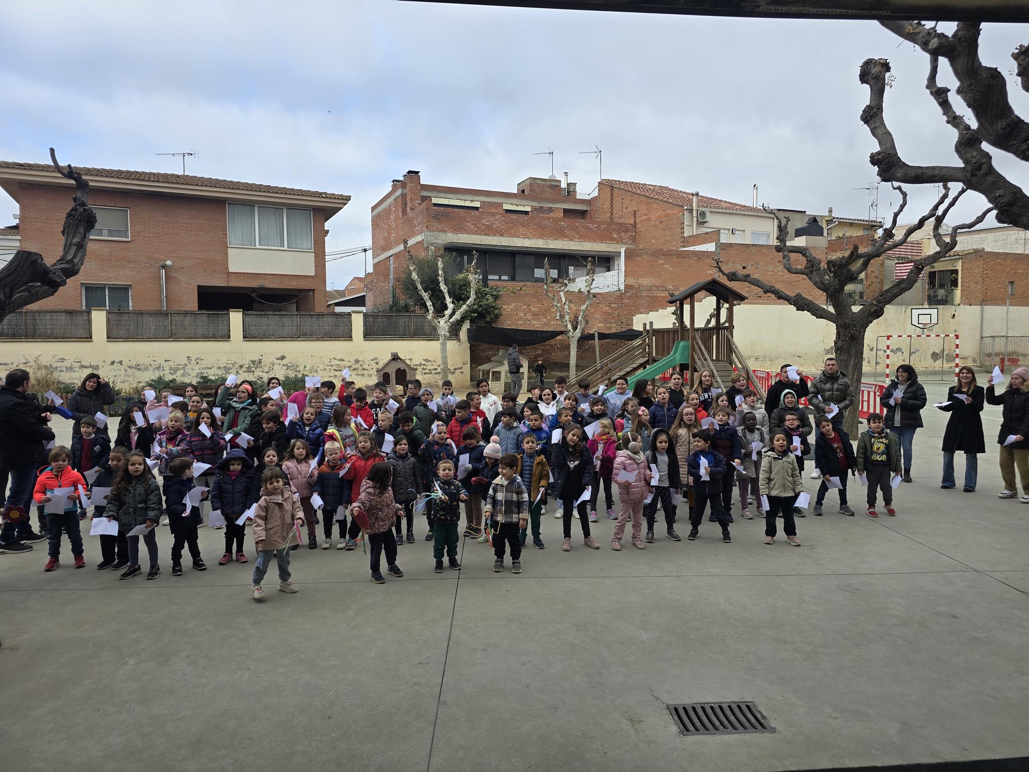 20250130_120337 (Copy)