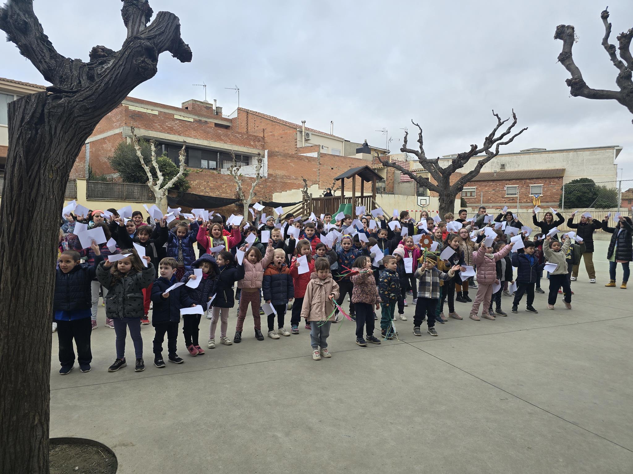 20250130_120512 (Copy)