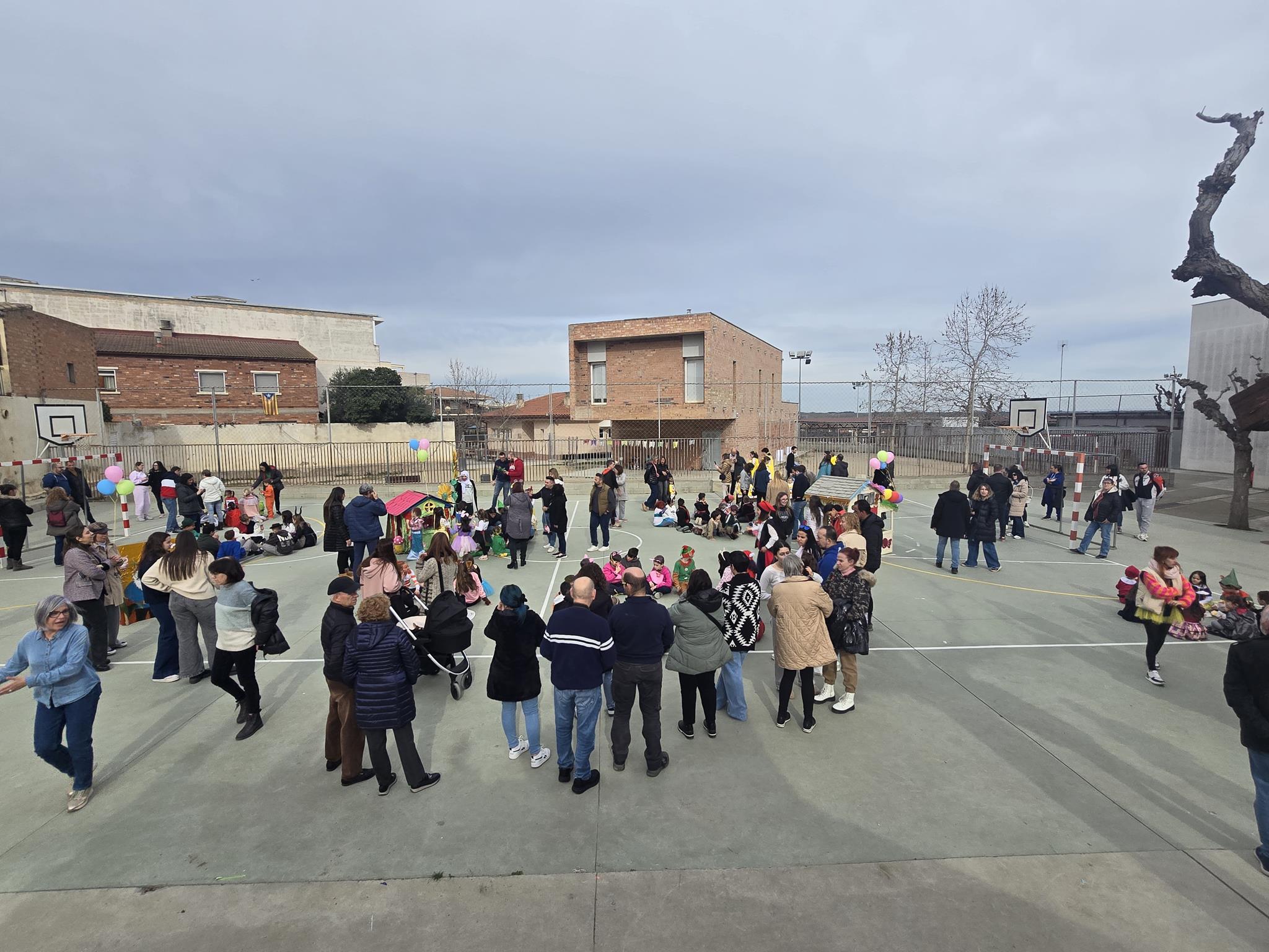 20250227_154904 (Copy)