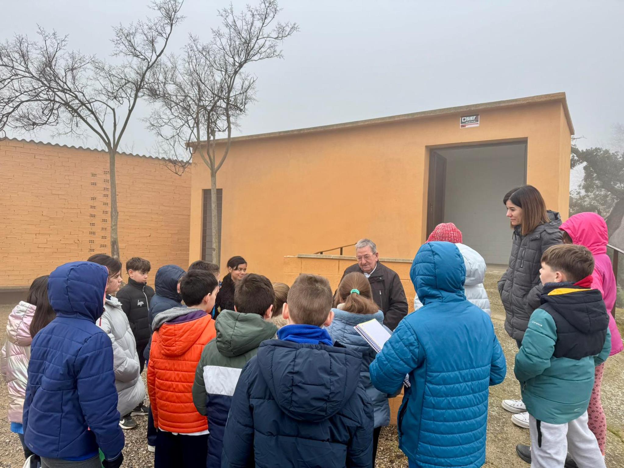 IMG-20250203-WA0001 (Copy)